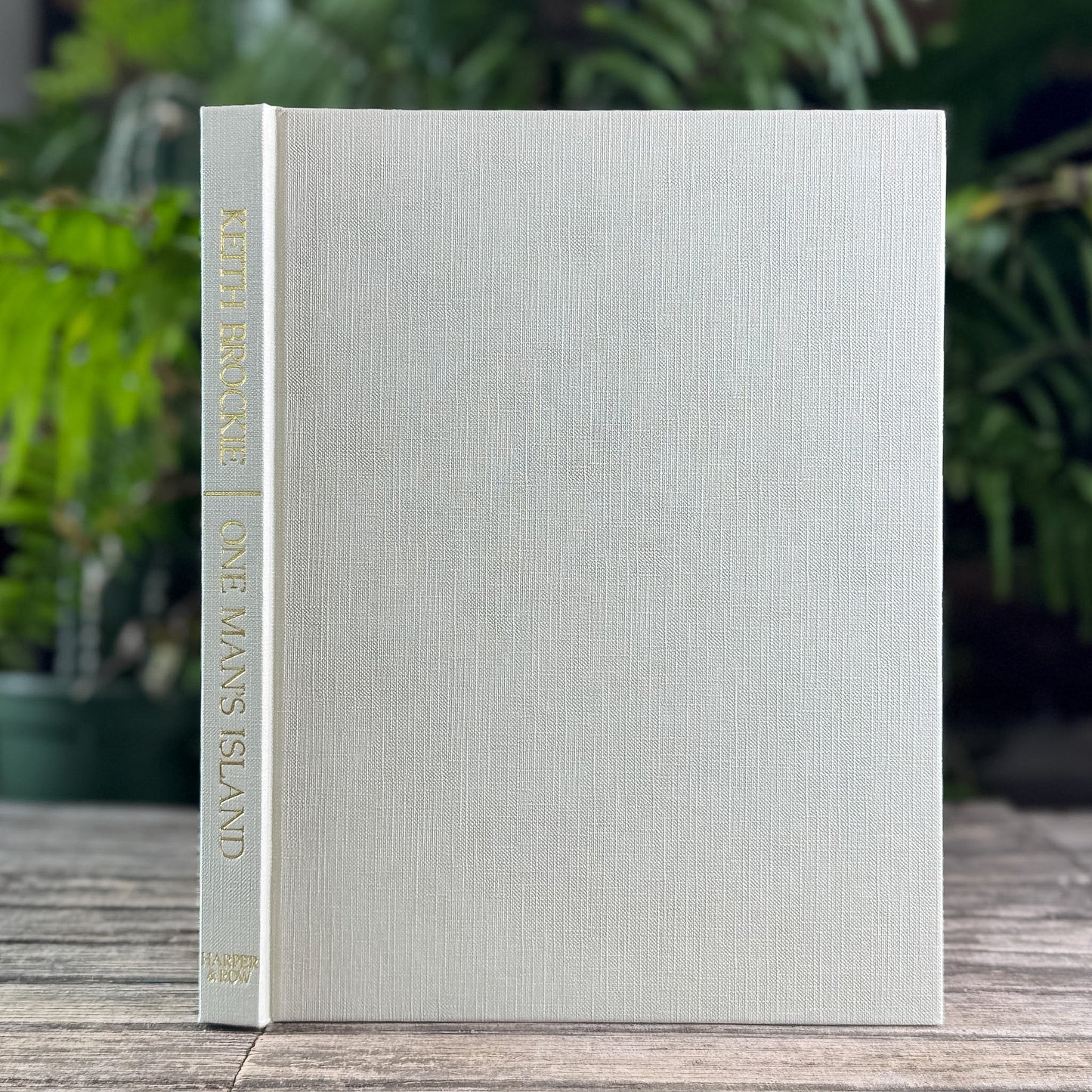 One Man's Island: A Naturalist's Year, Keith Brockie, 1984 - Pretty Old Books