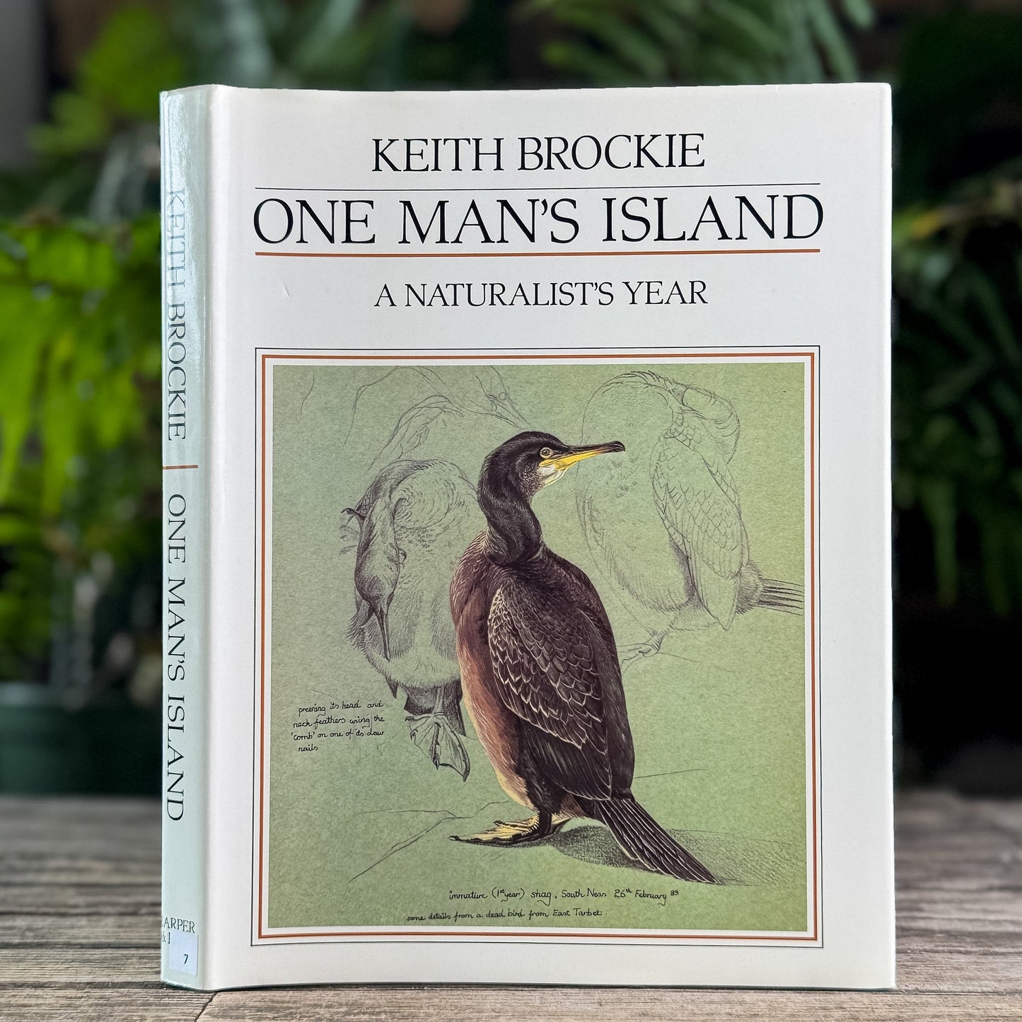 One Man's Island: A Naturalist's Year, Keith Brockie, 1984 - Pretty Old Books