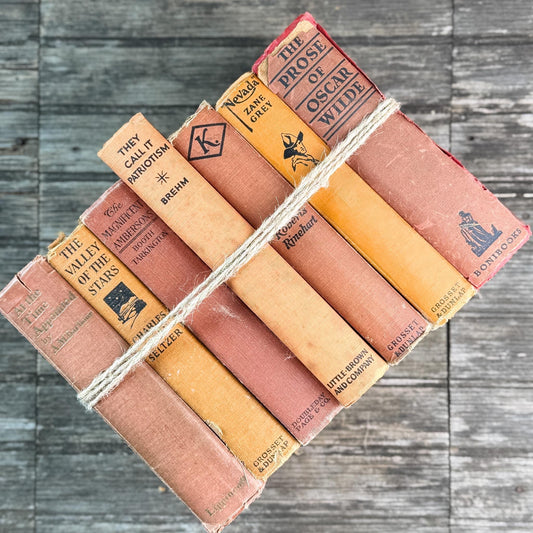 Orange and Rust Red Shabby Old Books for Shelf Styling - Pretty Old Books