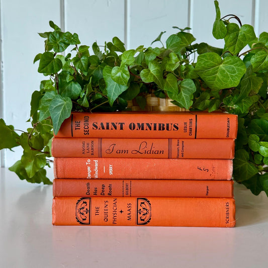 Orange Rust Red Terra Cotta Decorative Books, Vintage Old Book Decor, Orange Fall Bookshelf Decor - Pretty Old Books