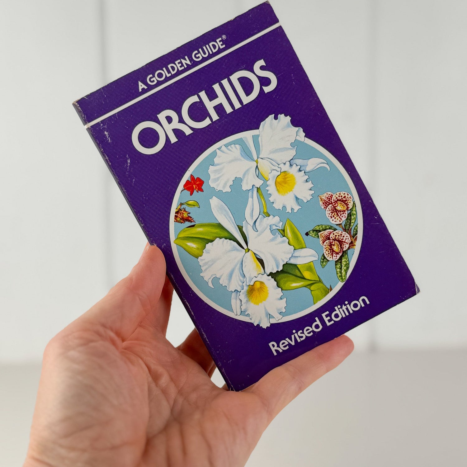 Orchids, A Golden Guide, 1989 Paperback Field Guide - Pretty Old Books