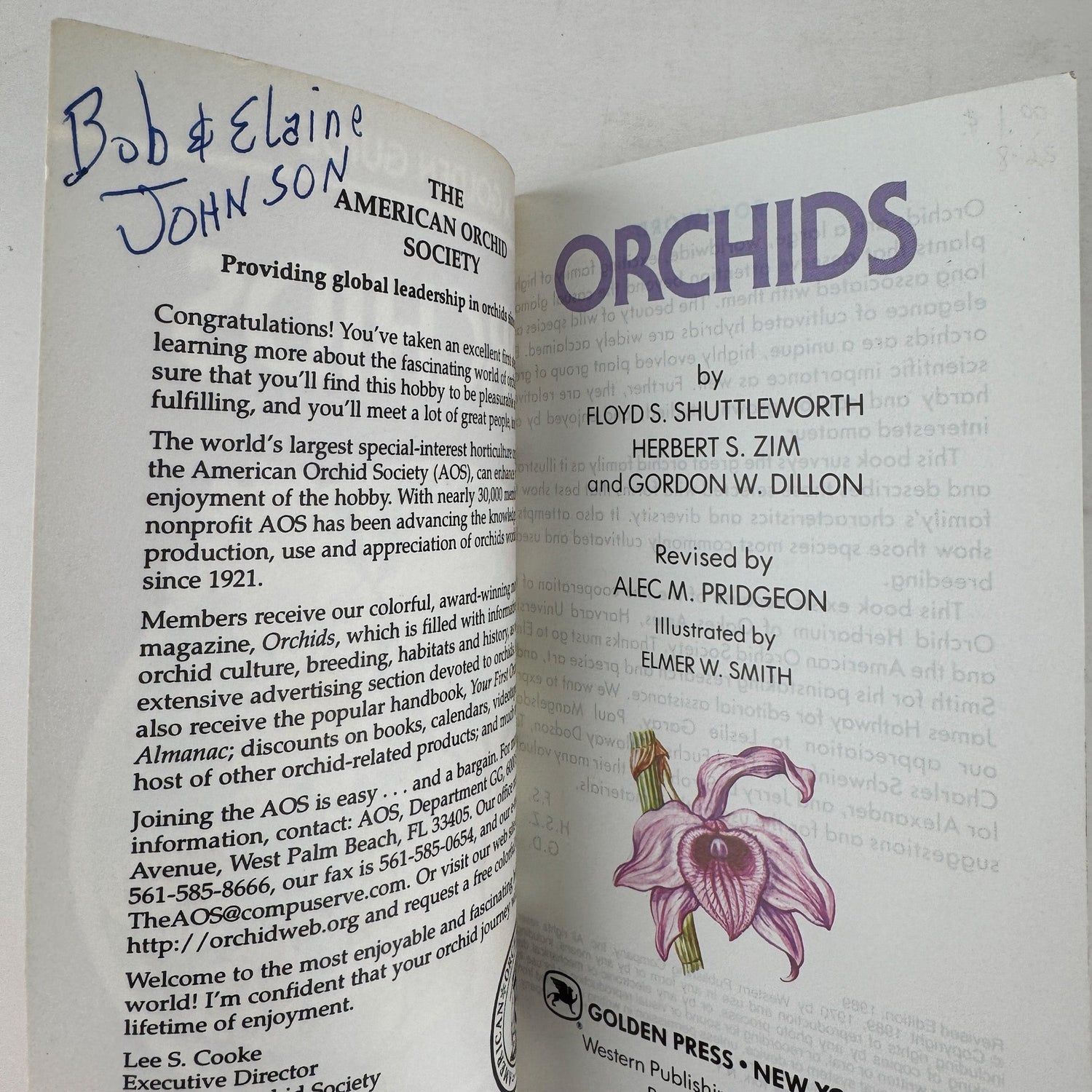 Orchids, A Golden Guide, 1989 Paperback Field Guide - Pretty Old Books