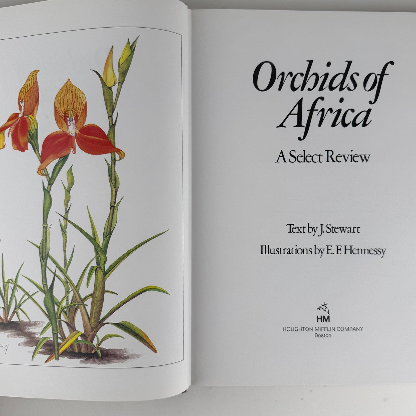 Orchids of Africa, 1981, 50 Color Plates - Pretty Old Books
