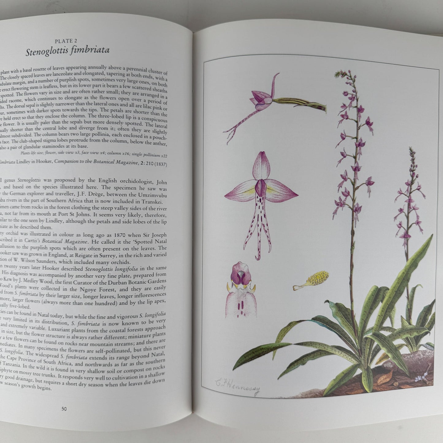 Orchids of Africa, 1981, 50 Color Plates - Pretty Old Books