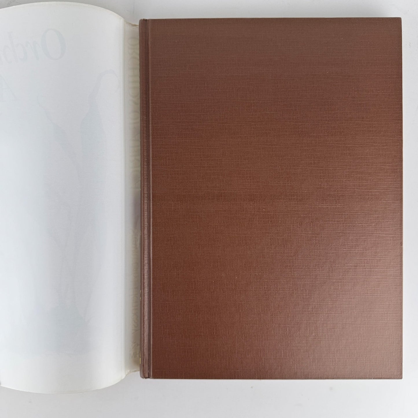 Orchids of Africa, 1981, 50 Color Plates - Pretty Old Books