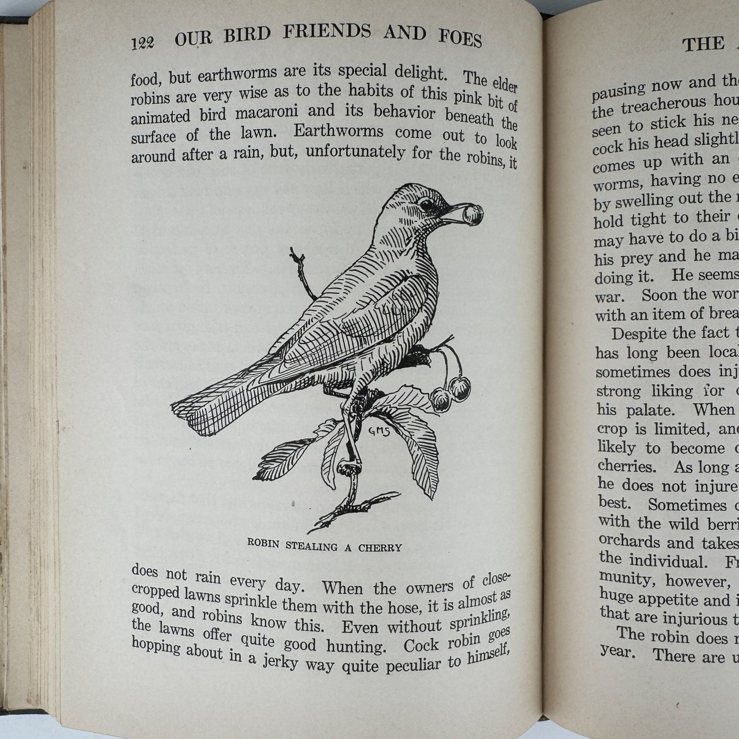 Our Bird Friend and Foes, 1925, Romance of Science Series - Pretty Old Books