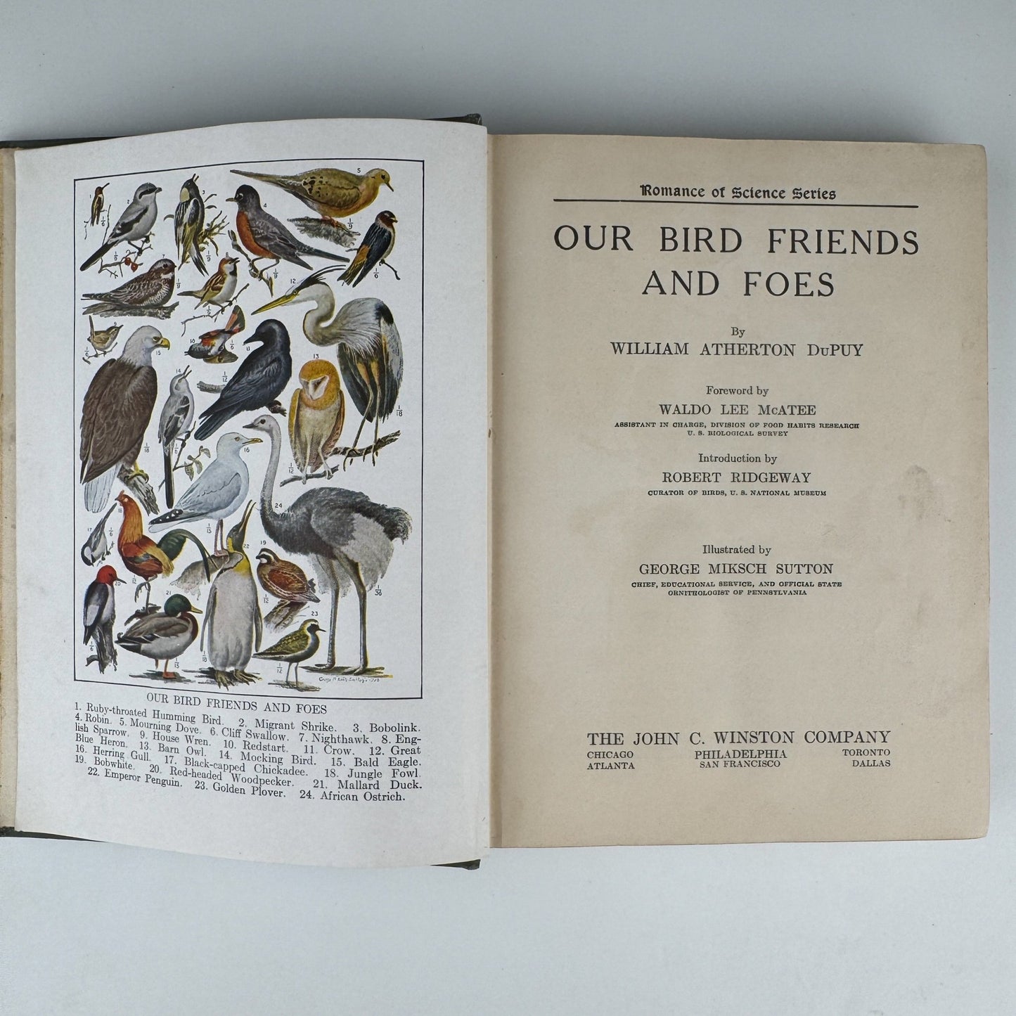 Our Bird Friend and Foes, 1925, Romance of Science Series - Pretty Old Books