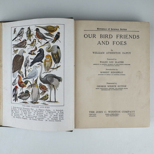 Our Bird Friend and Foes, 1925, Romance of Science Series - Pretty Old Books