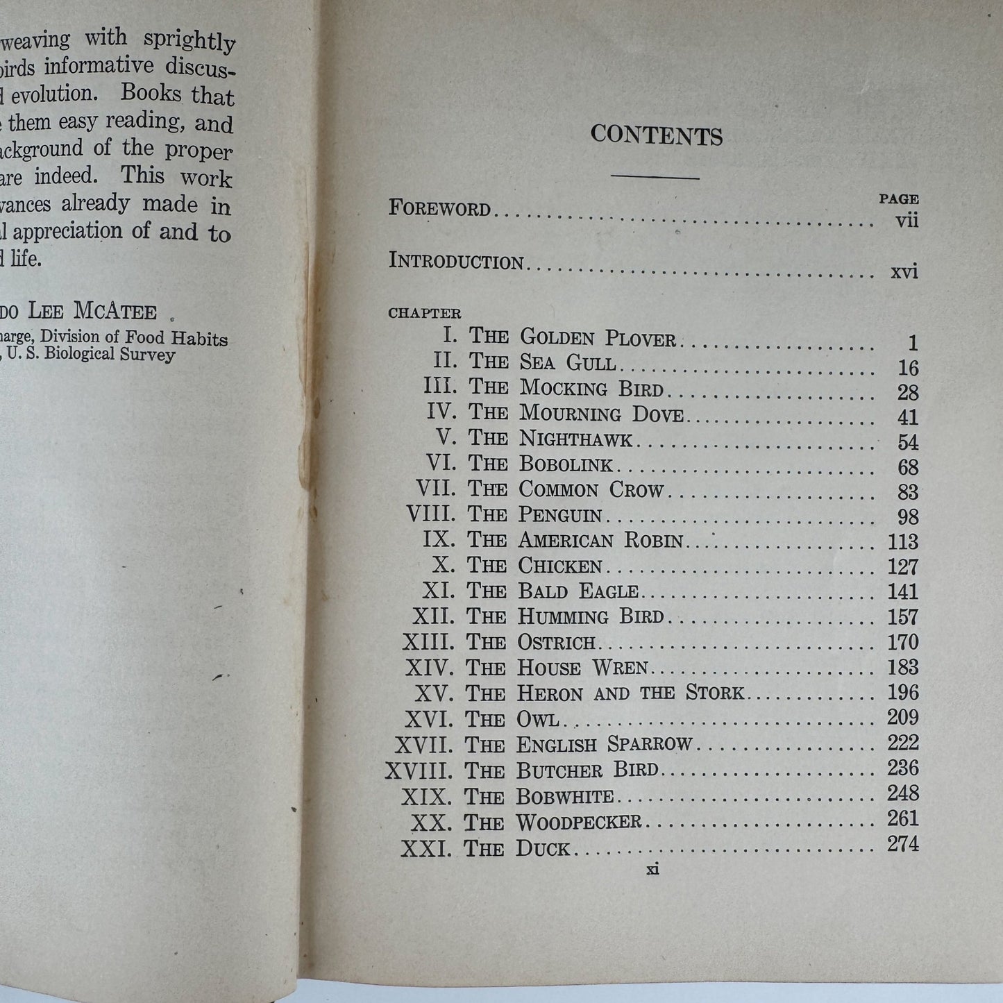 Our Bird Friend and Foes, 1925, Romance of Science Series - Pretty Old Books