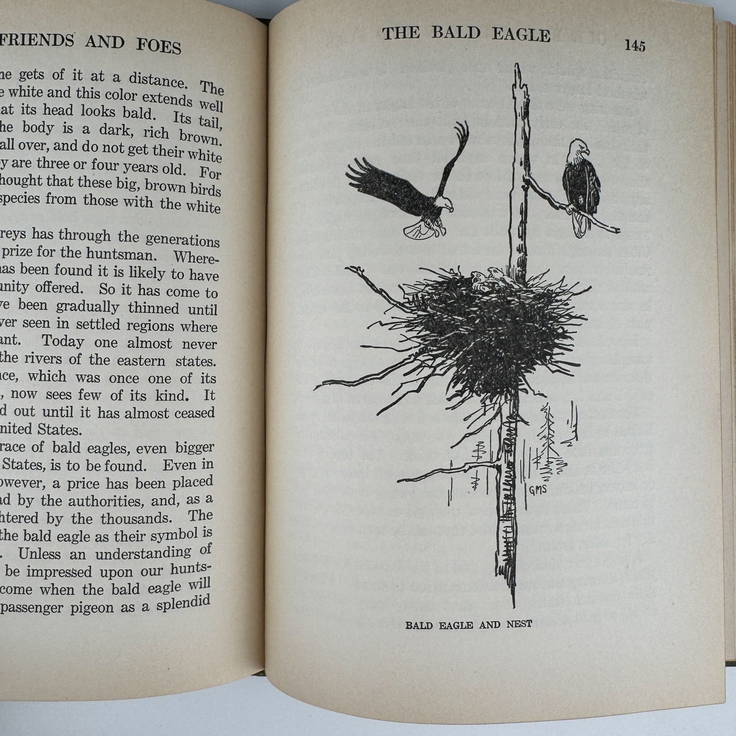 Our Bird Friend and Foes, 1925, Romance of Science Series - Pretty Old Books