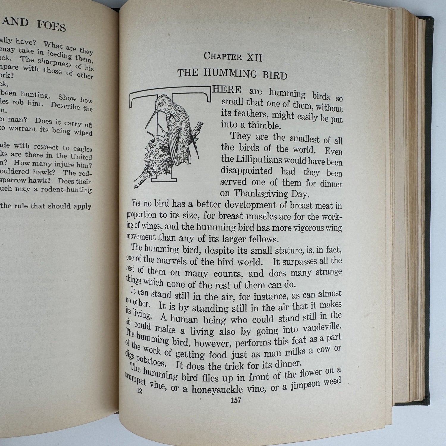 Our Bird Friend and Foes, 1925, Romance of Science Series - Pretty Old Books