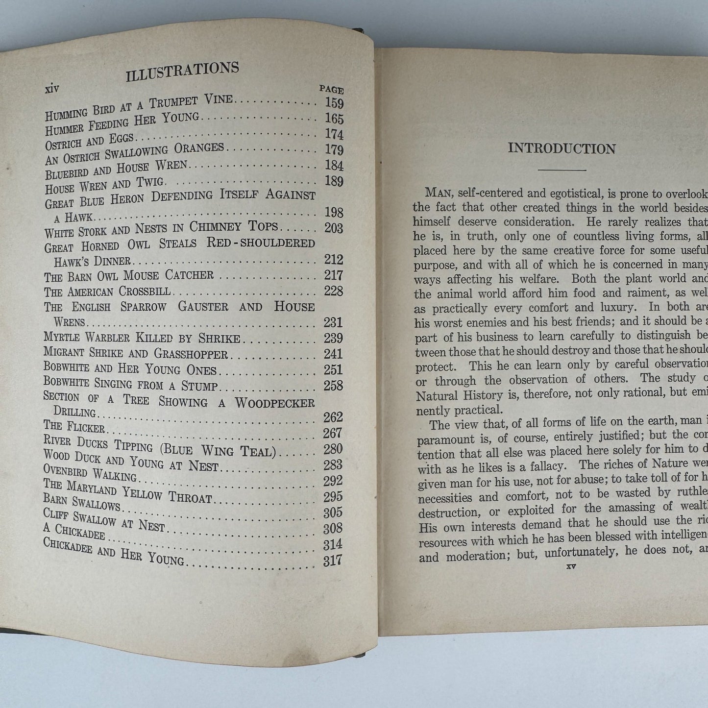 Our Bird Friend and Foes, 1925, Romance of Science Series - Pretty Old Books