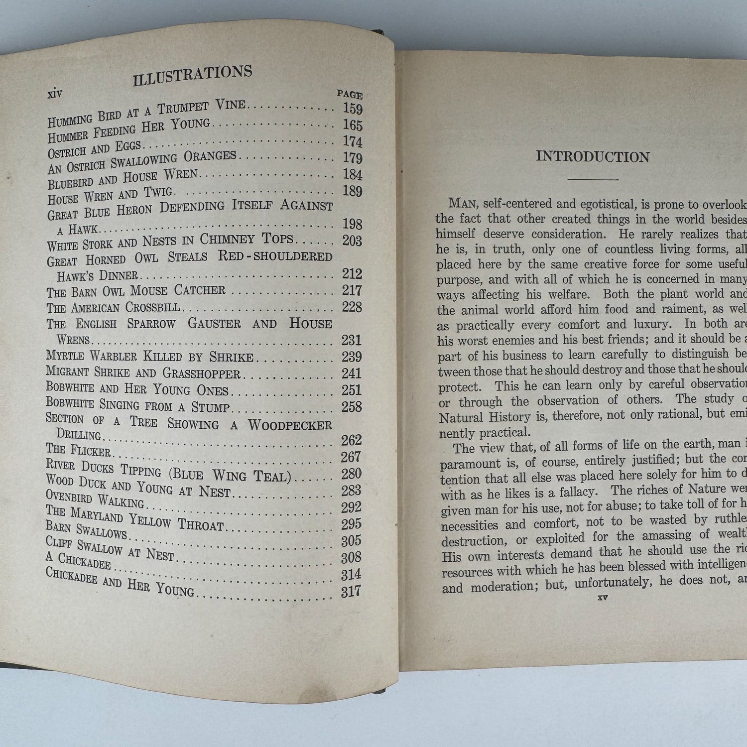 Our Bird Friend and Foes, 1925, Romance of Science Series - Pretty Old Books