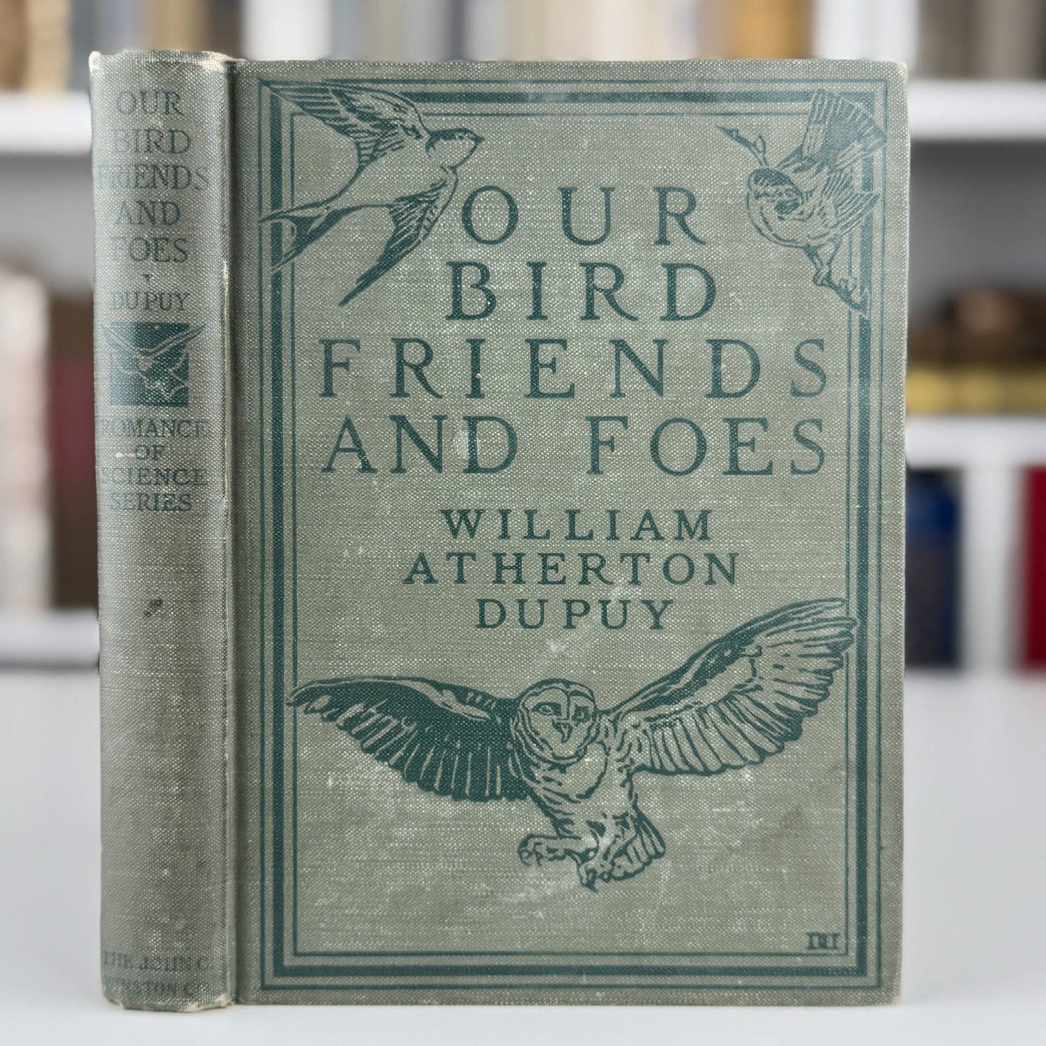 Our Bird Friend and Foes, 1925, Romance of Science Series - Pretty Old Books