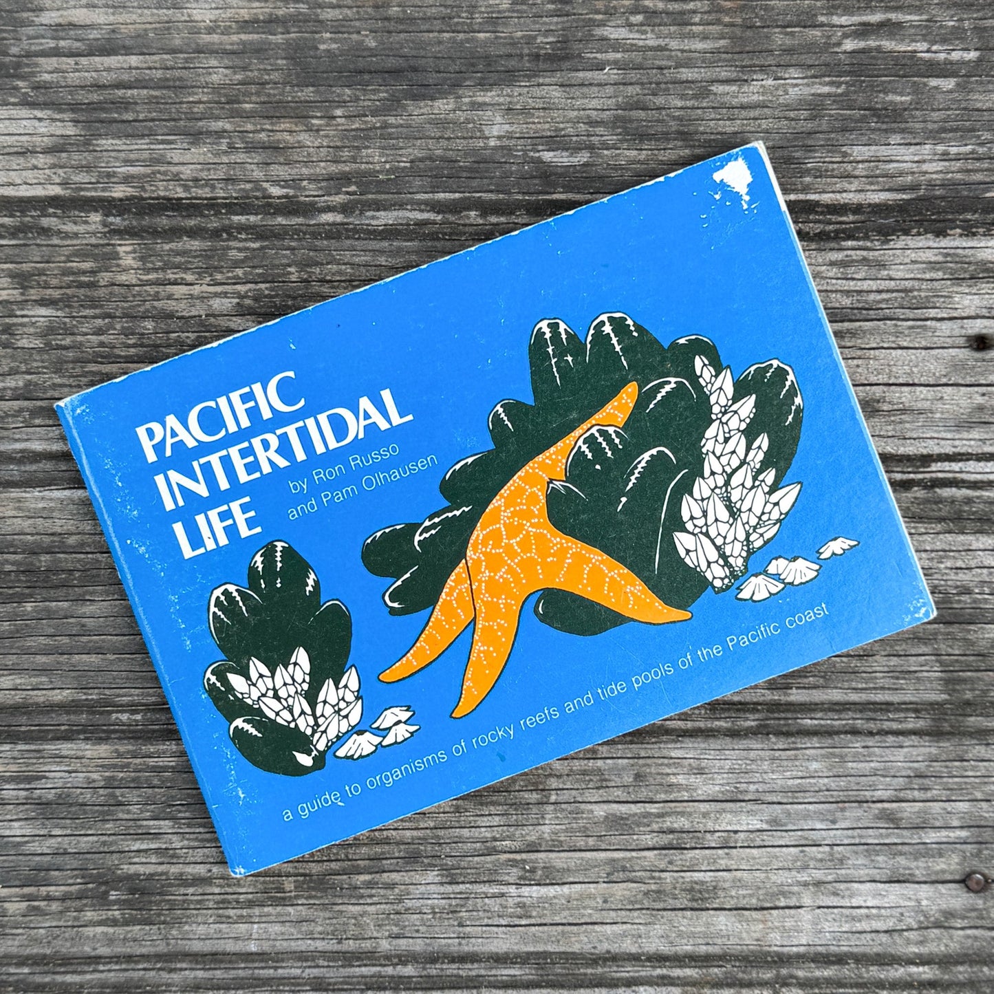 Pacific Intertidal Life, Paperback Field Guide, 1981 - Pretty Old Books
