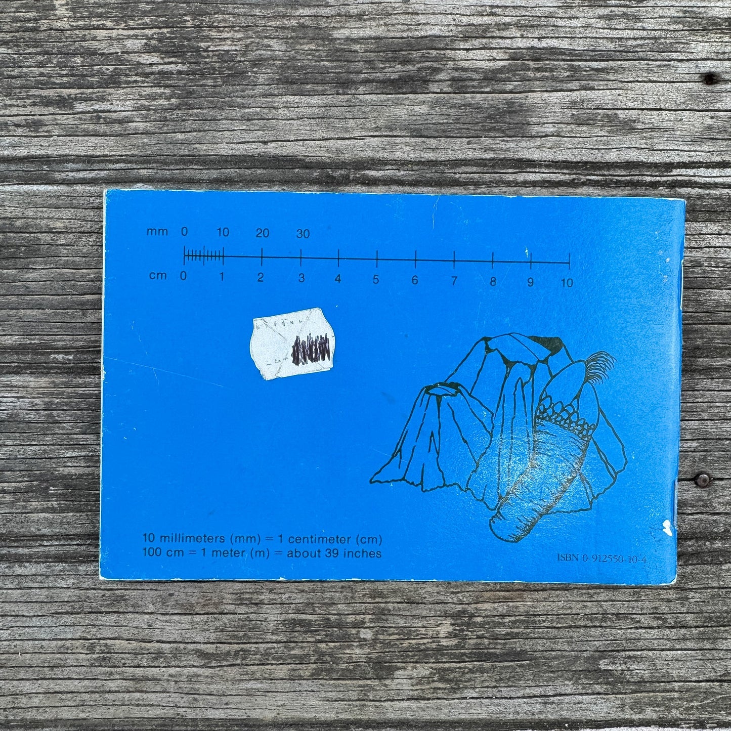Pacific Intertidal Life, Paperback Field Guide, 1981 - Pretty Old Books