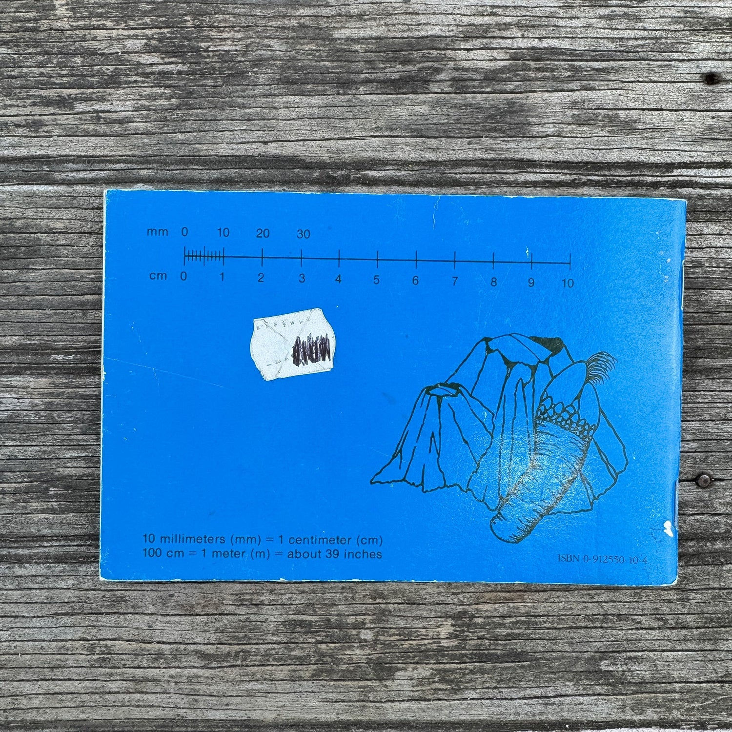 Pacific Intertidal Life, Paperback Field Guide, 1981 - Pretty Old Books