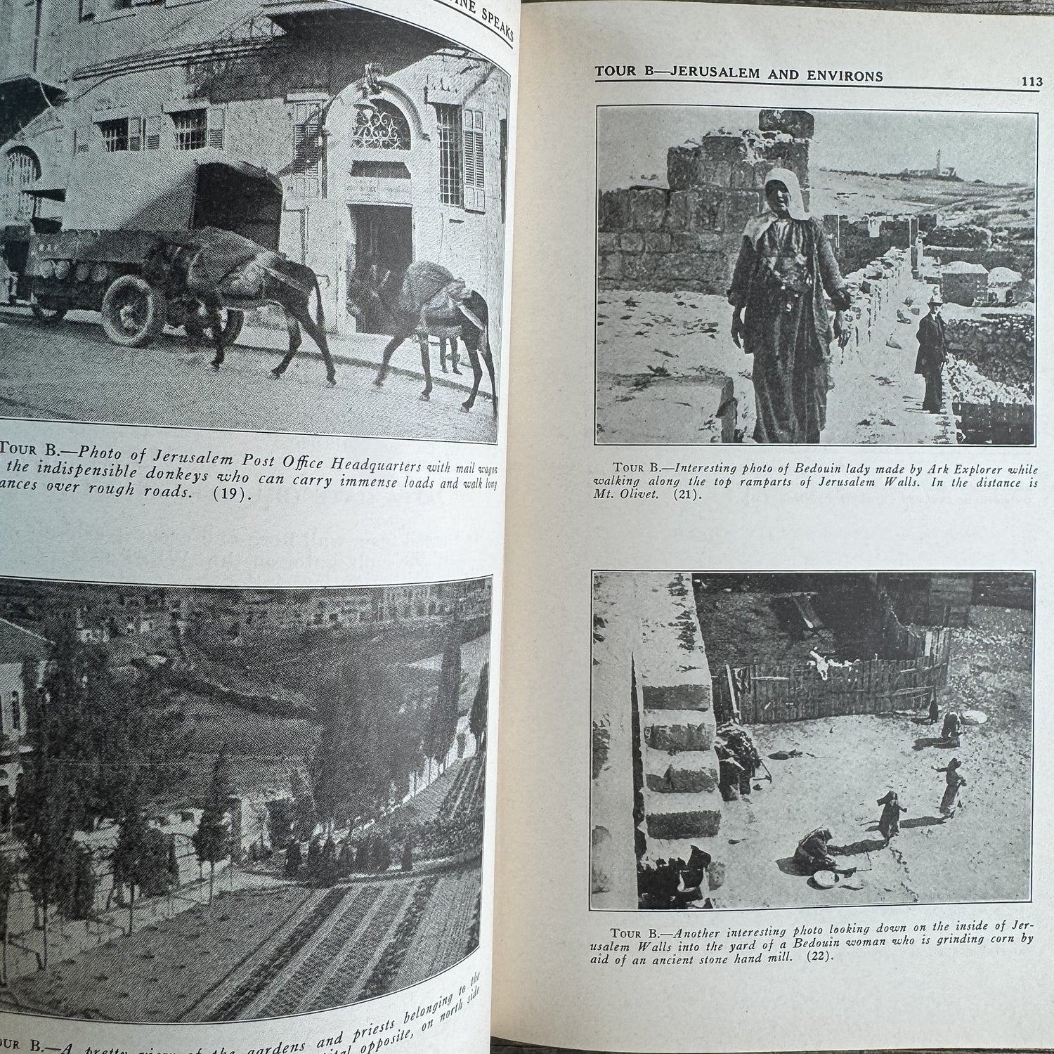 Palestine Speaks, A. F. Futterer, 1950 - Pretty Old Books