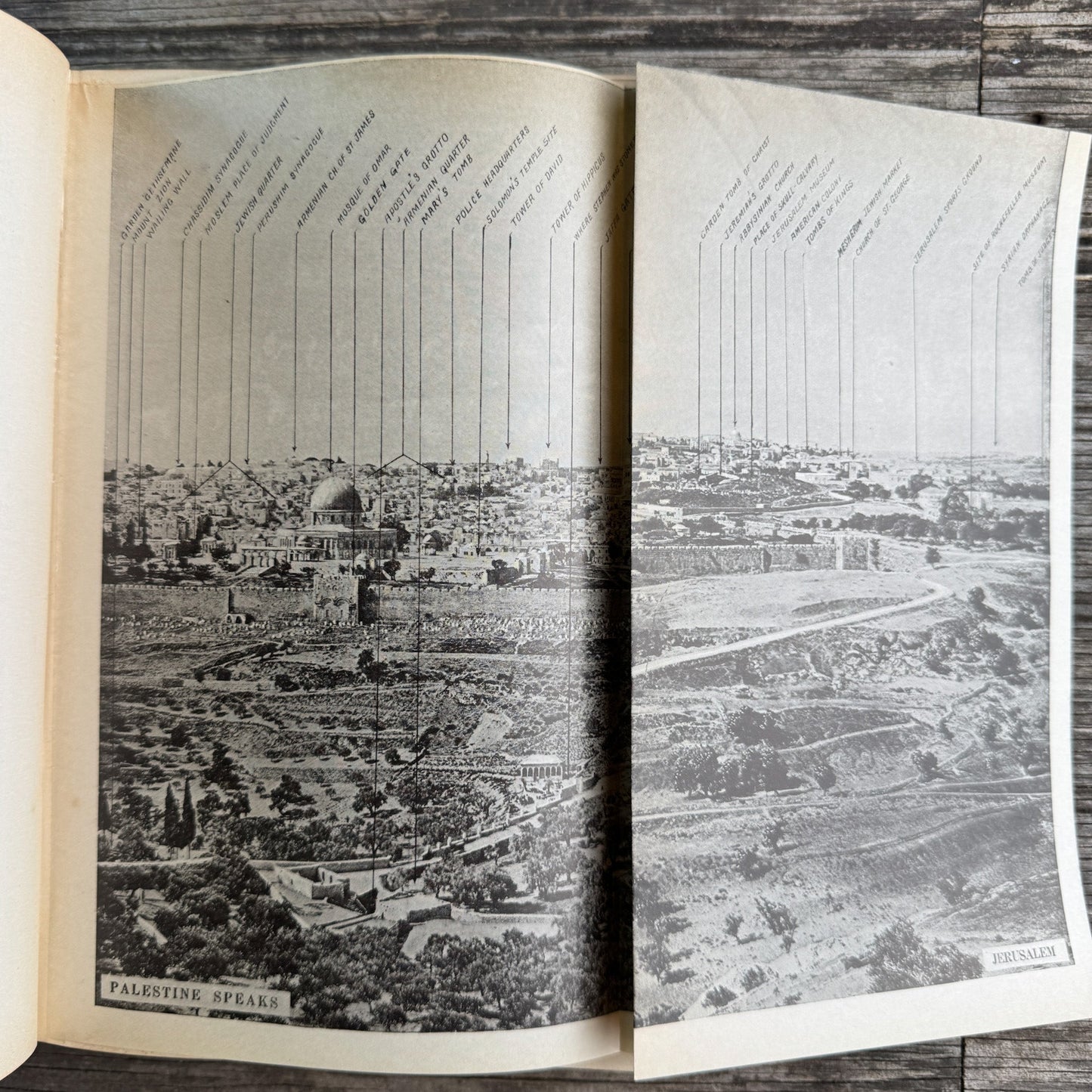 Palestine Speaks, A. F. Futterer, 1950 - Pretty Old Books