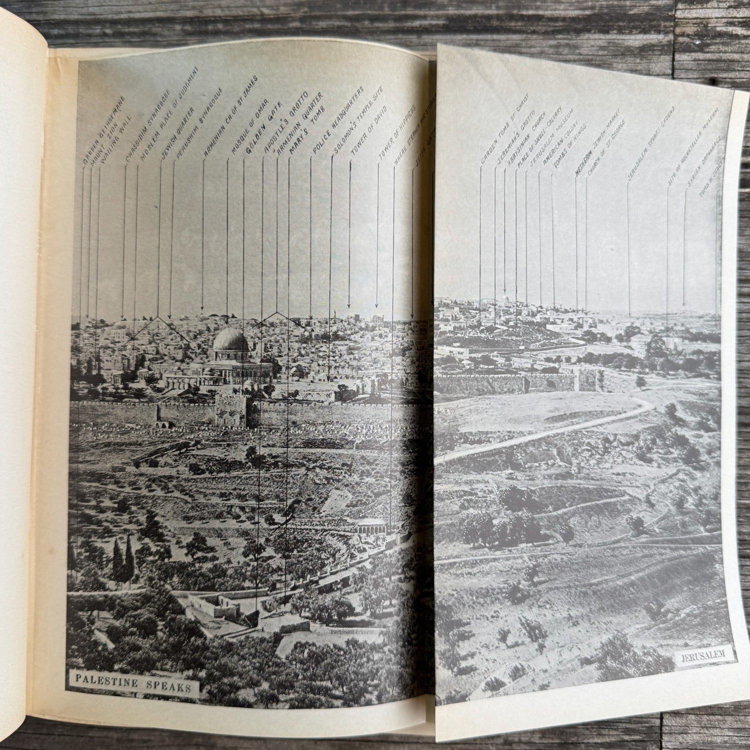 Palestine Speaks, A. F. Futterer, 1950 - Pretty Old Books