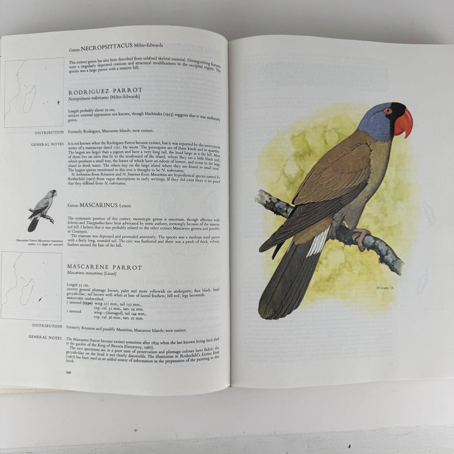 Parrots of the World, Joseph Forshaw, 1978 Oversized Book - Pretty Old Books