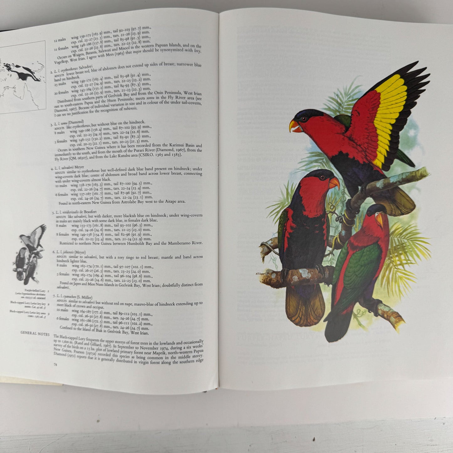 Parrots of the World, Joseph Forshaw, 1978 Oversized Book - Pretty Old Books