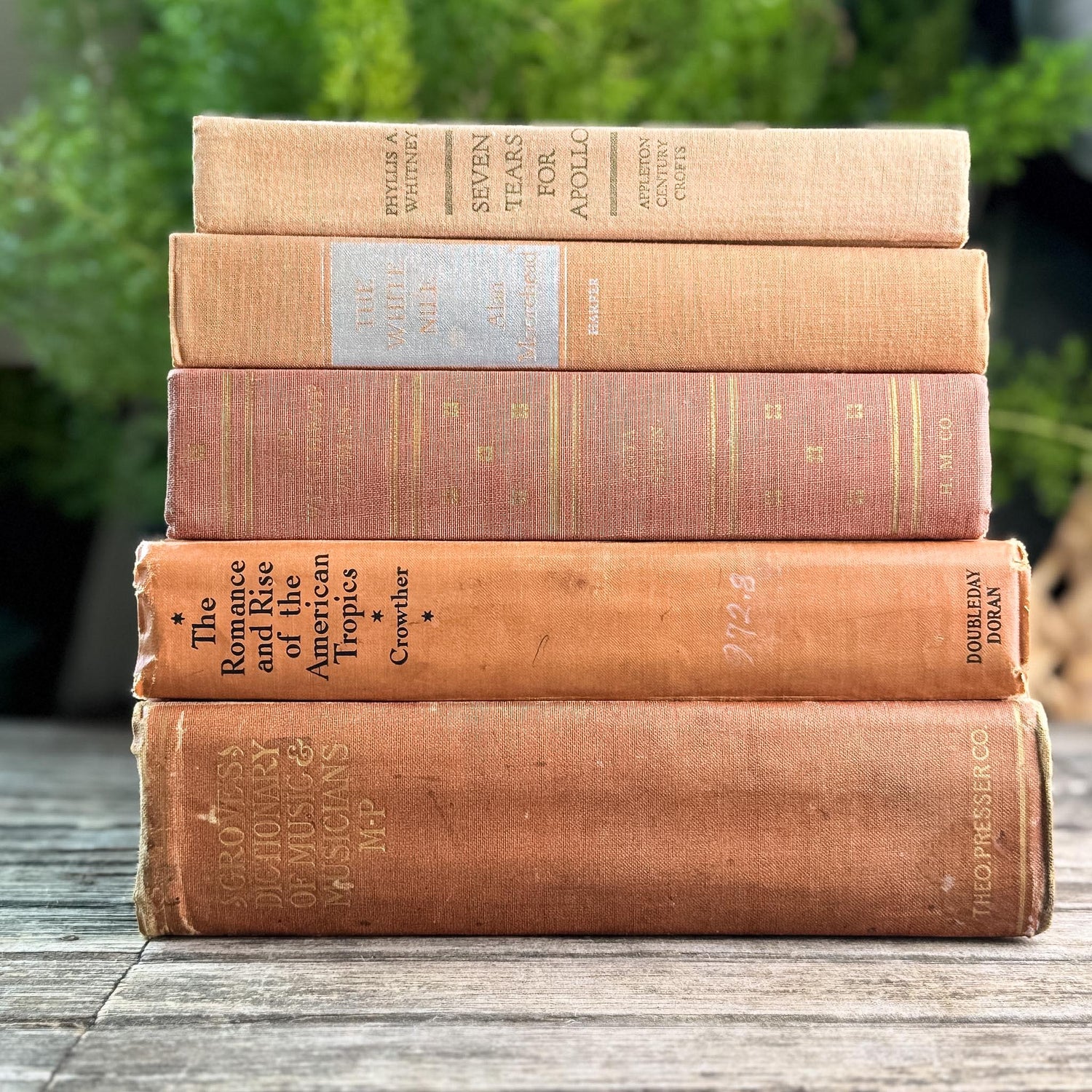 Peach, Orange, and Rust Vintage Books for Decor - Pretty Old Books