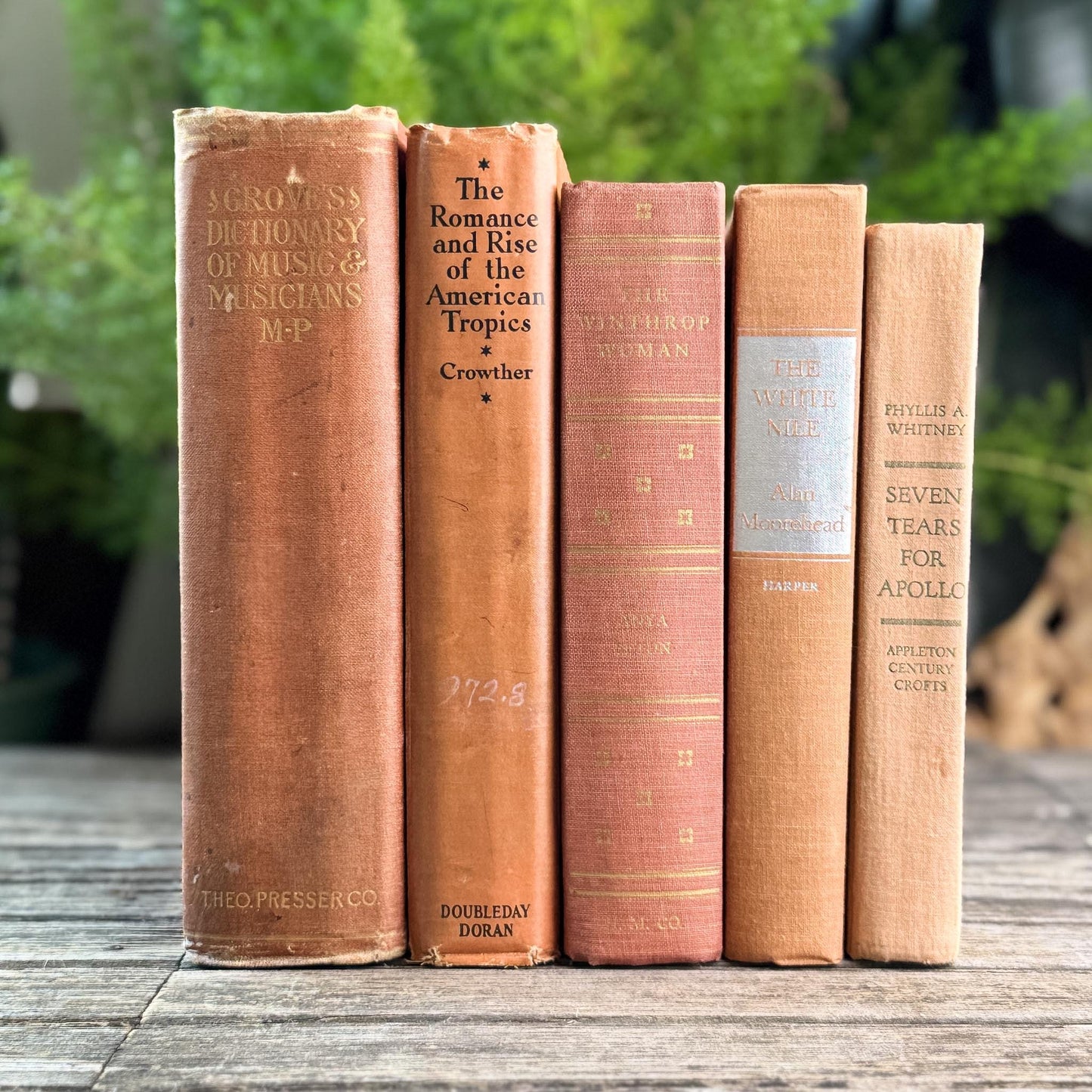 Peach, Orange, and Rust Vintage Books for Decor - Pretty Old Books