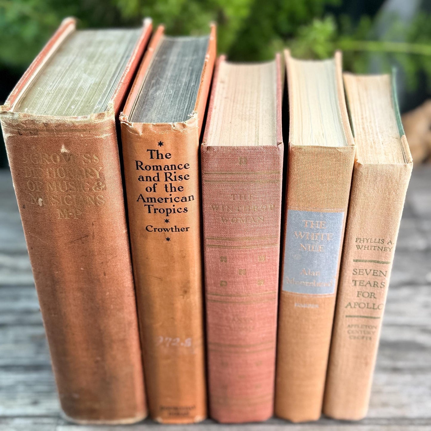 Peach, Orange, and Rust Vintage Books for Decor - Pretty Old Books