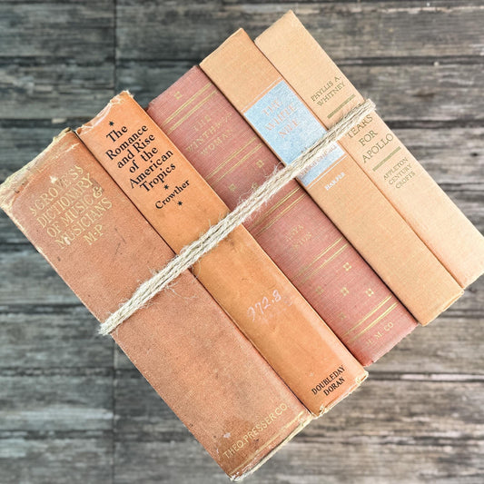 Peach, Orange, and Rust Vintage Books for Decor - Pretty Old Books