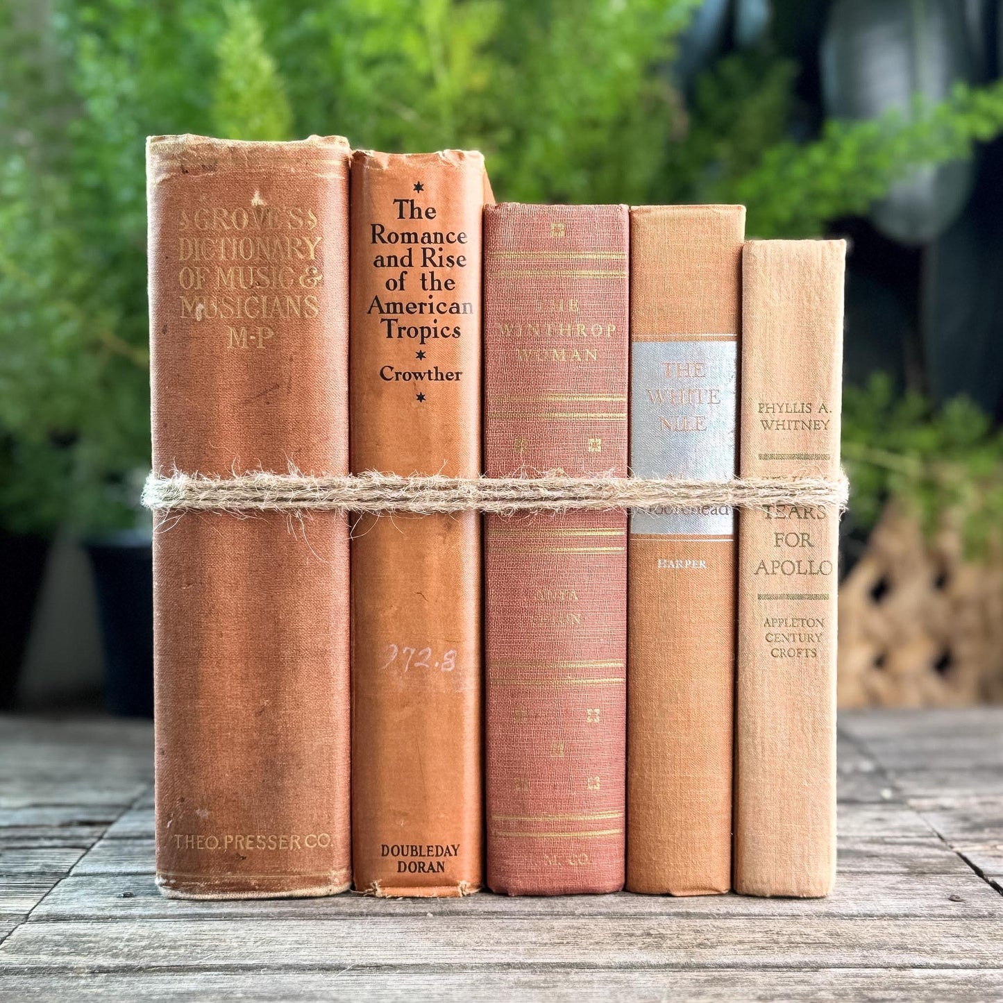 Peach, Orange, and Rust Vintage Books for Decor - Pretty Old Books