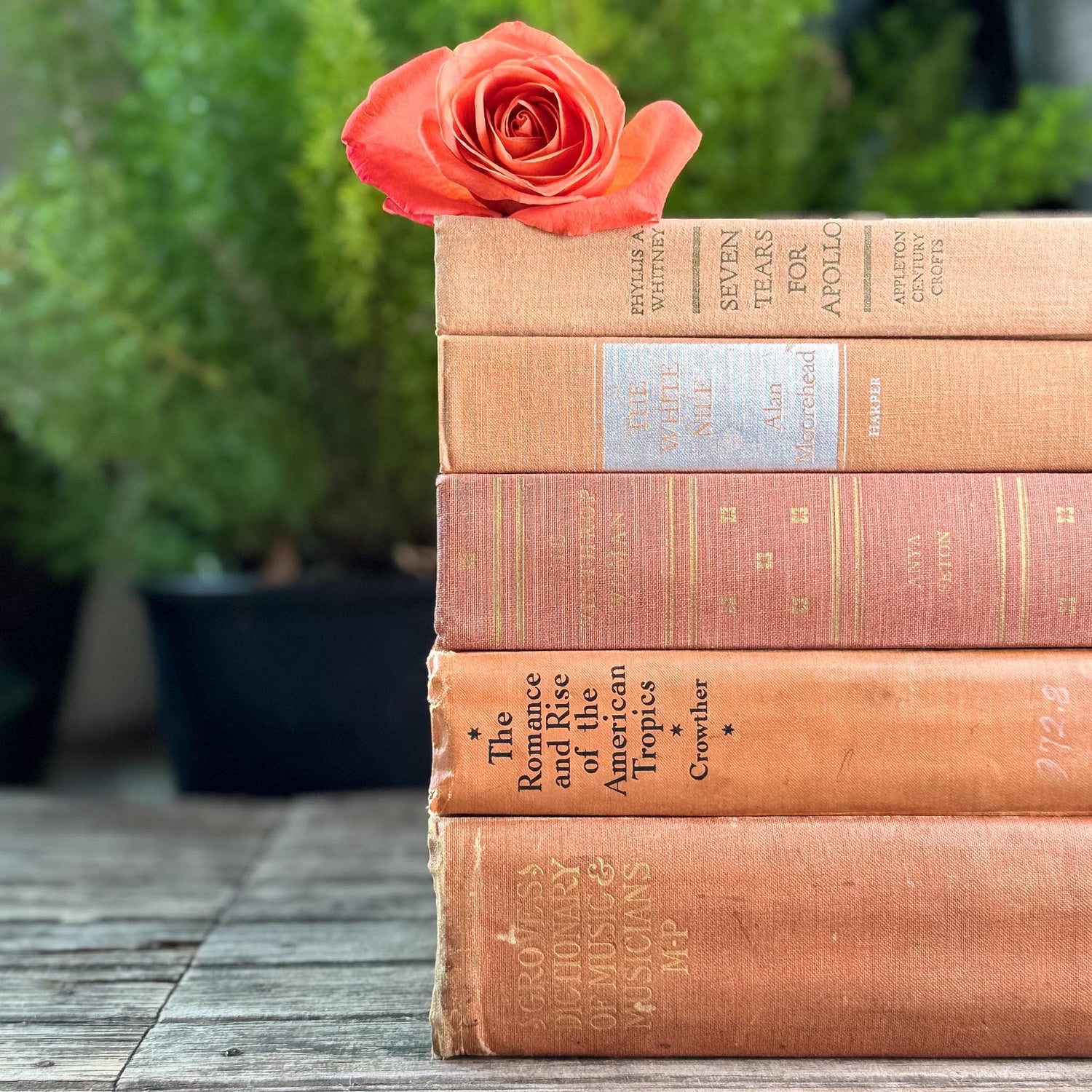 Peach, Orange, and Rust Vintage Books for Decor - Pretty Old Books