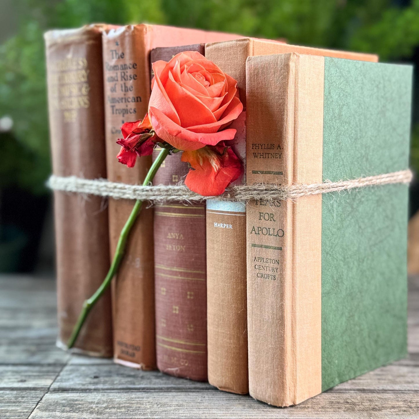 Peach, Orange, and Rust Vintage Books for Decor - Pretty Old Books