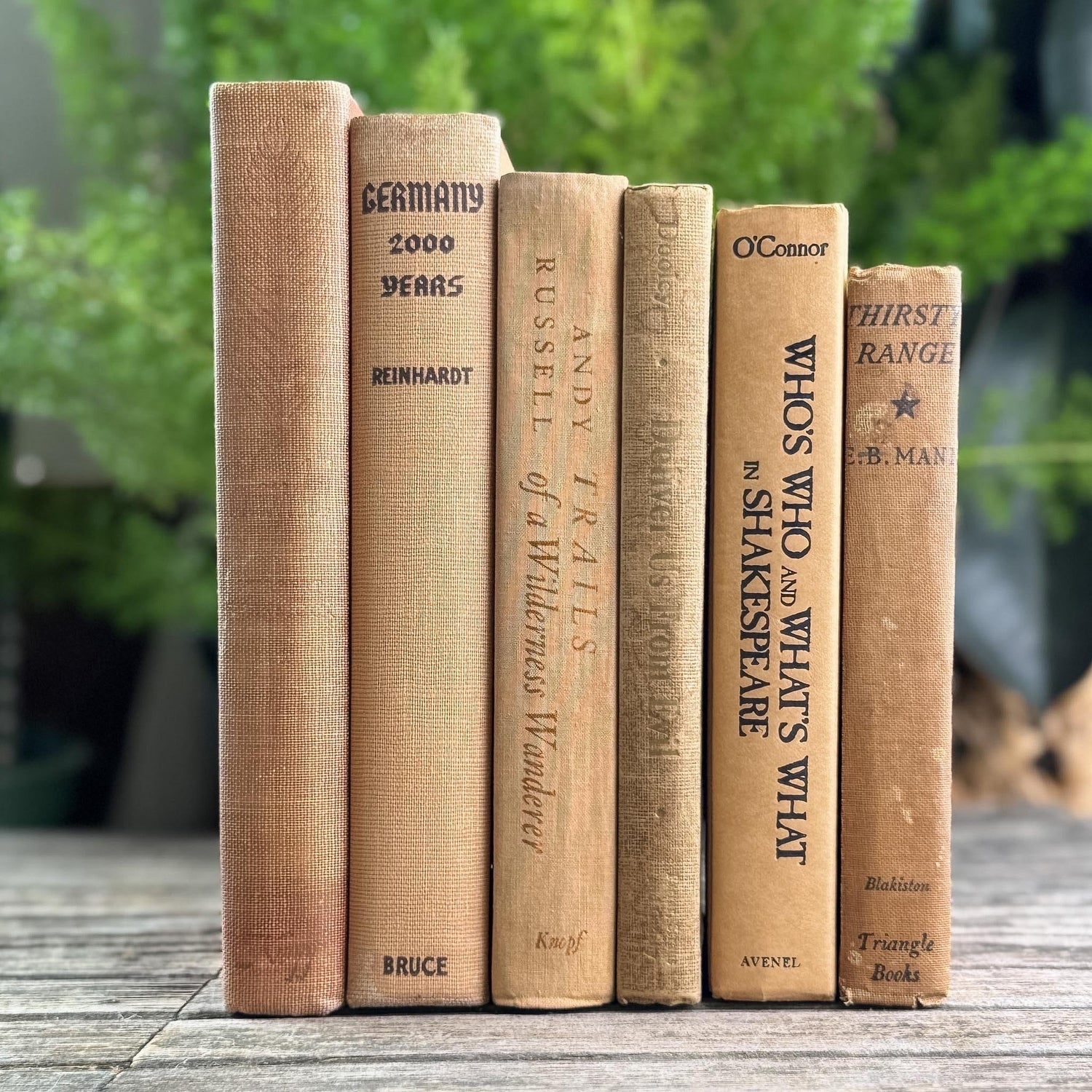 Peachy Taupe Neutral Vintage Book Bundle - Pretty Old Books