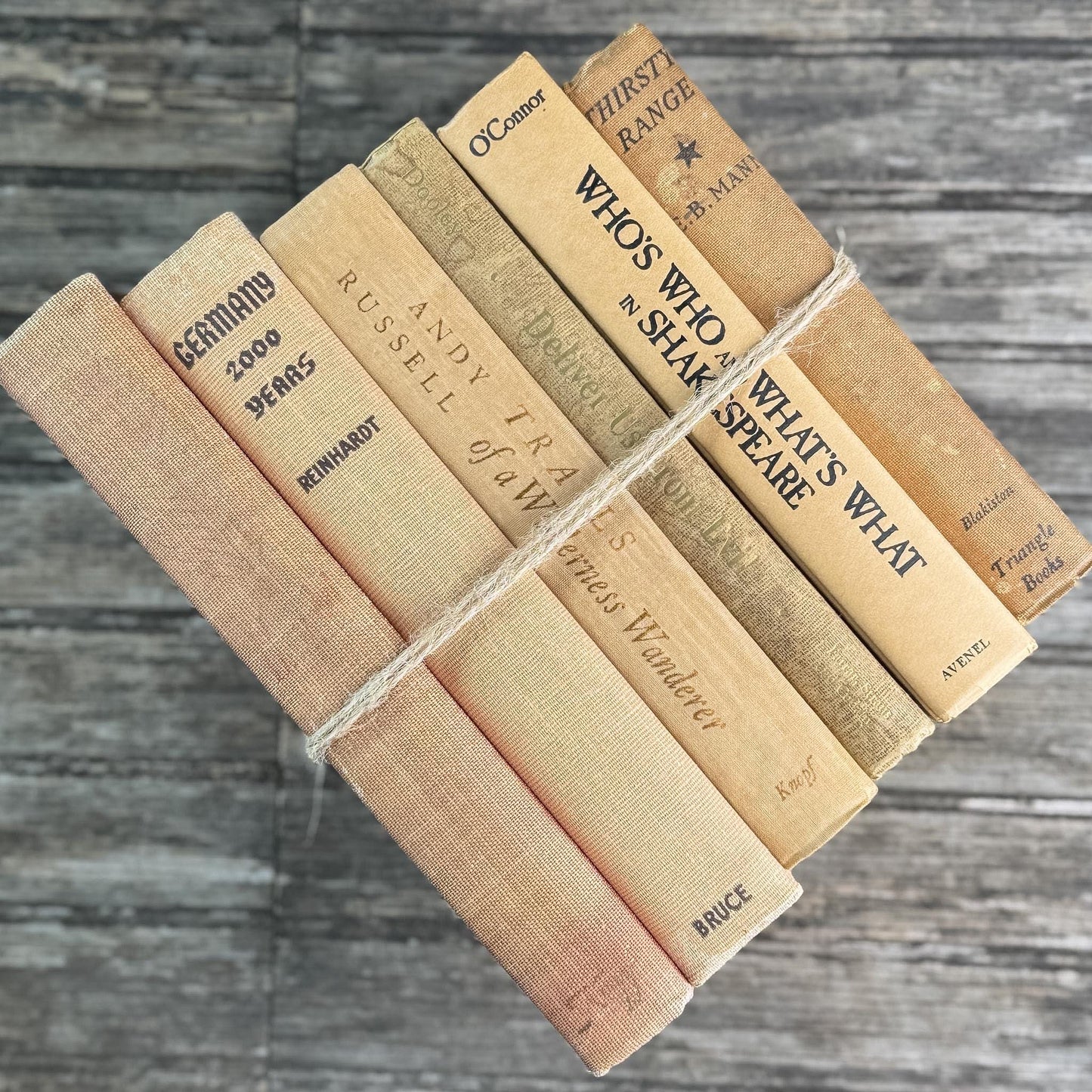 Peachy Taupe Neutral Vintage Book Bundle - Pretty Old Books