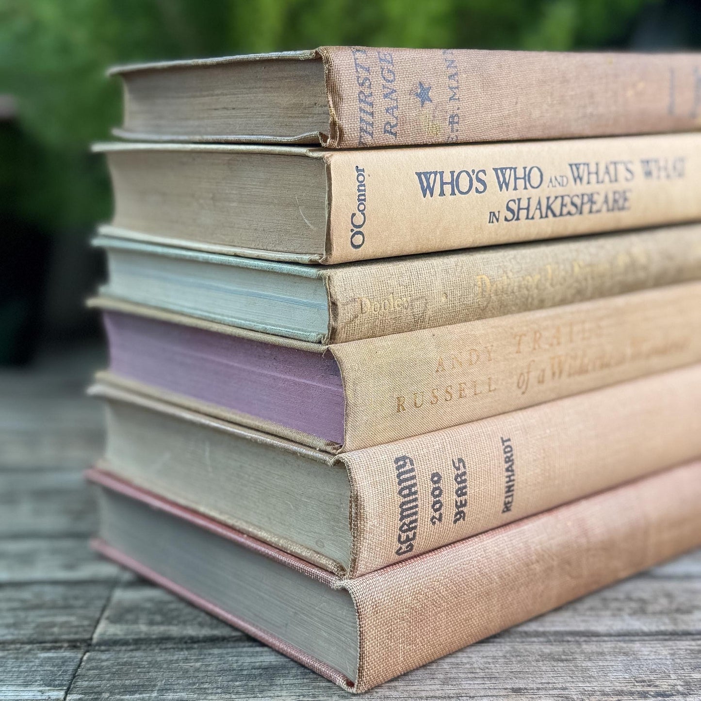 Peachy Taupe Neutral Vintage Book Bundle - Pretty Old Books