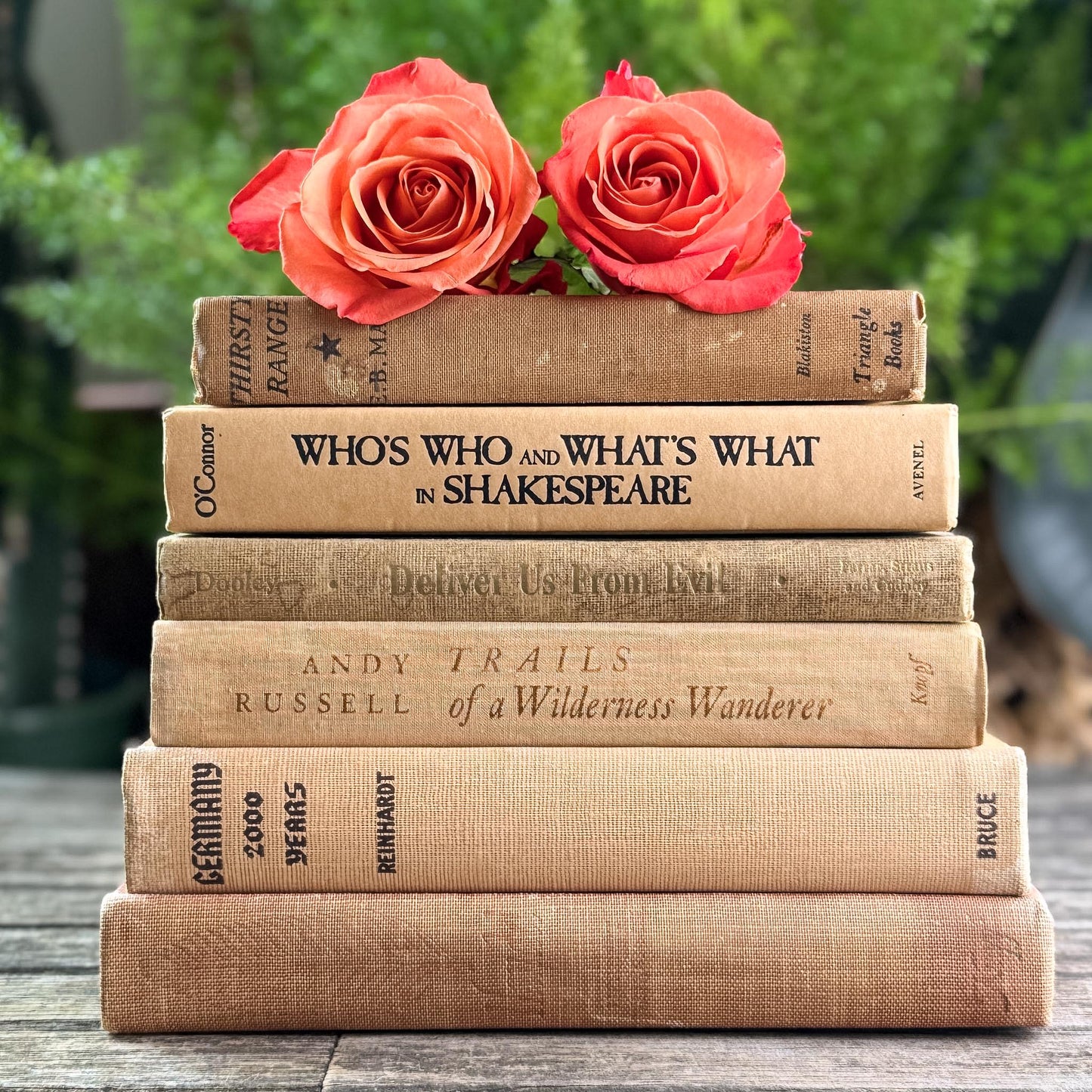 Peachy Taupe Neutral Vintage Book Bundle - Pretty Old Books