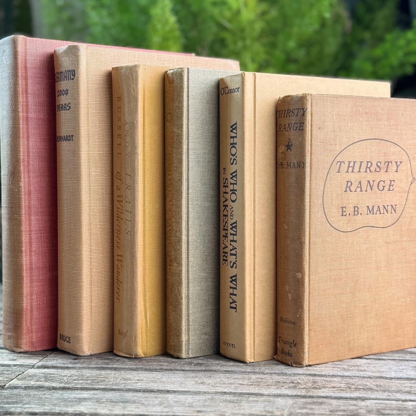 Peachy Taupe Neutral Vintage Book Bundle - Pretty Old Books