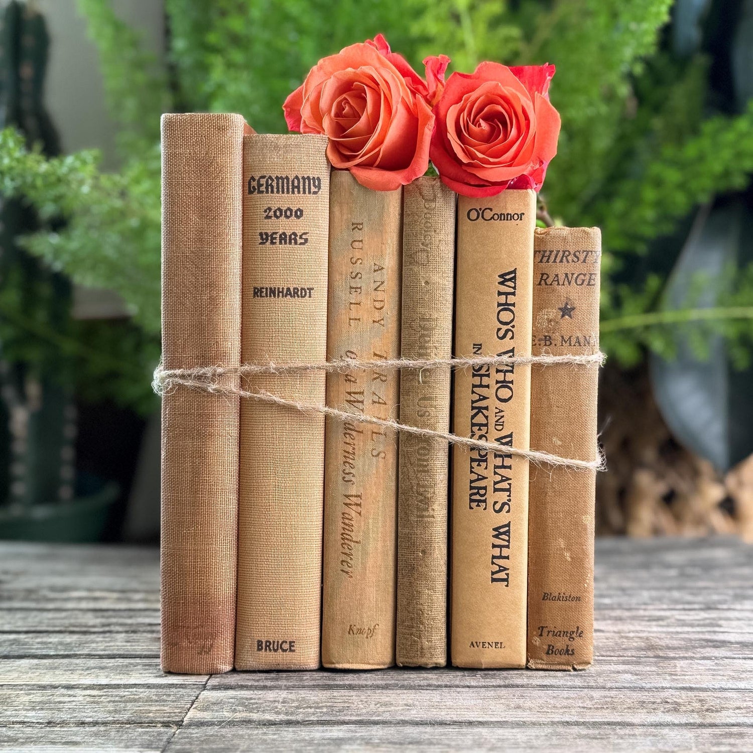 Peachy Taupe Neutral Vintage Book Bundle - Pretty Old Books