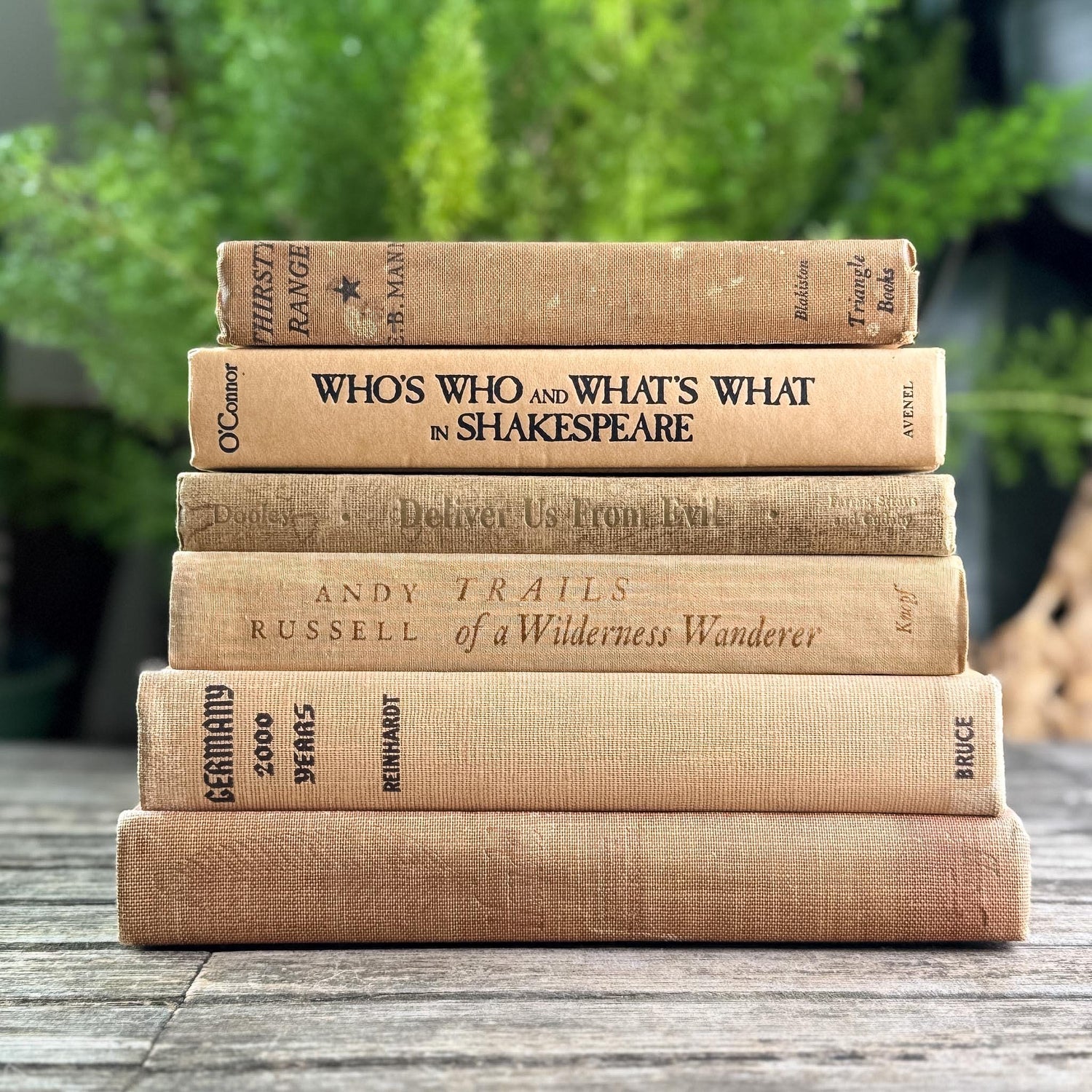 Peachy Taupe Neutral Vintage Book Bundle - Pretty Old Books