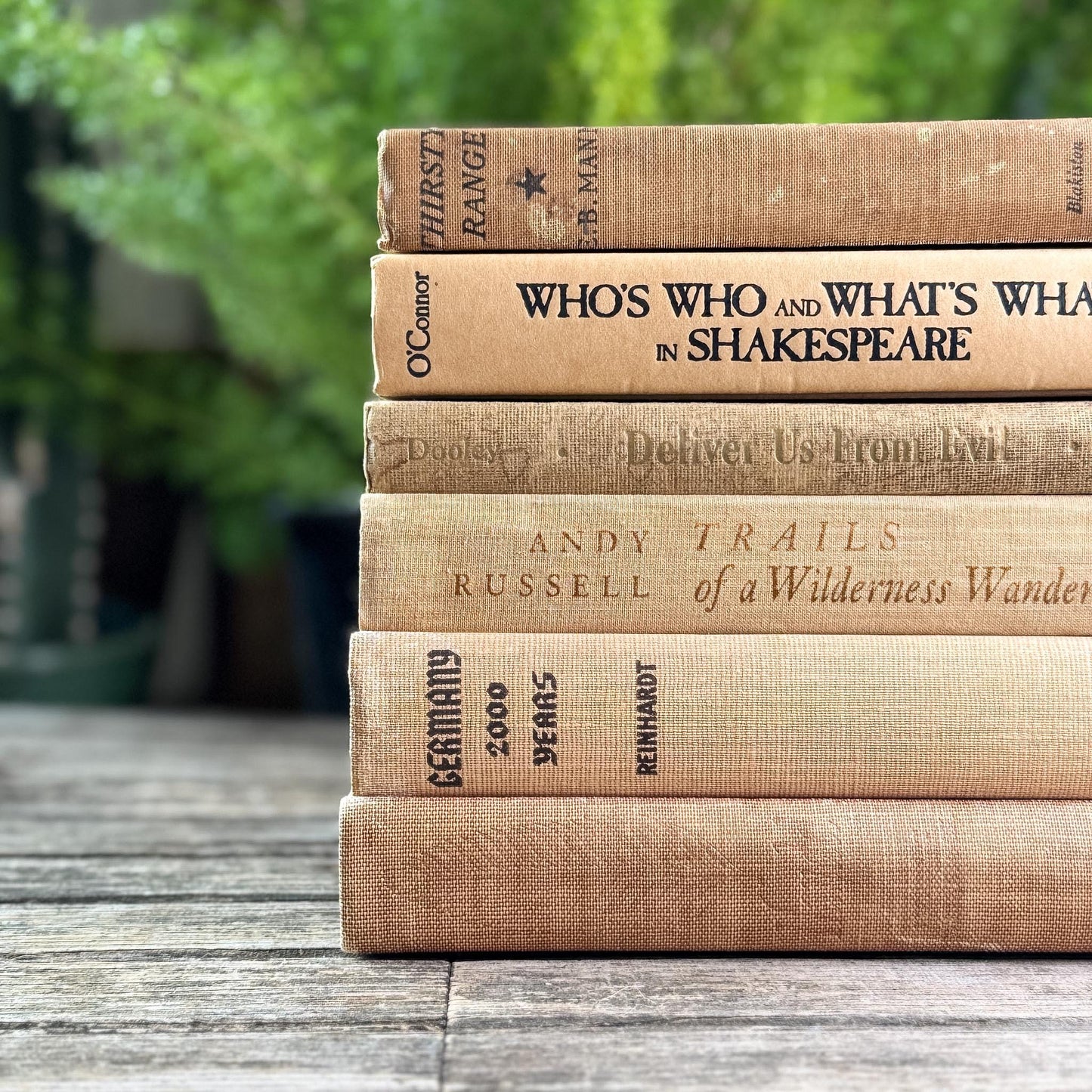 Peachy Taupe Neutral Vintage Book Bundle - Pretty Old Books