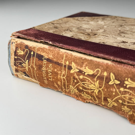 Plutarch’s Lives: Antique Half - Leather Volume, John Dryden - Pretty Old Books