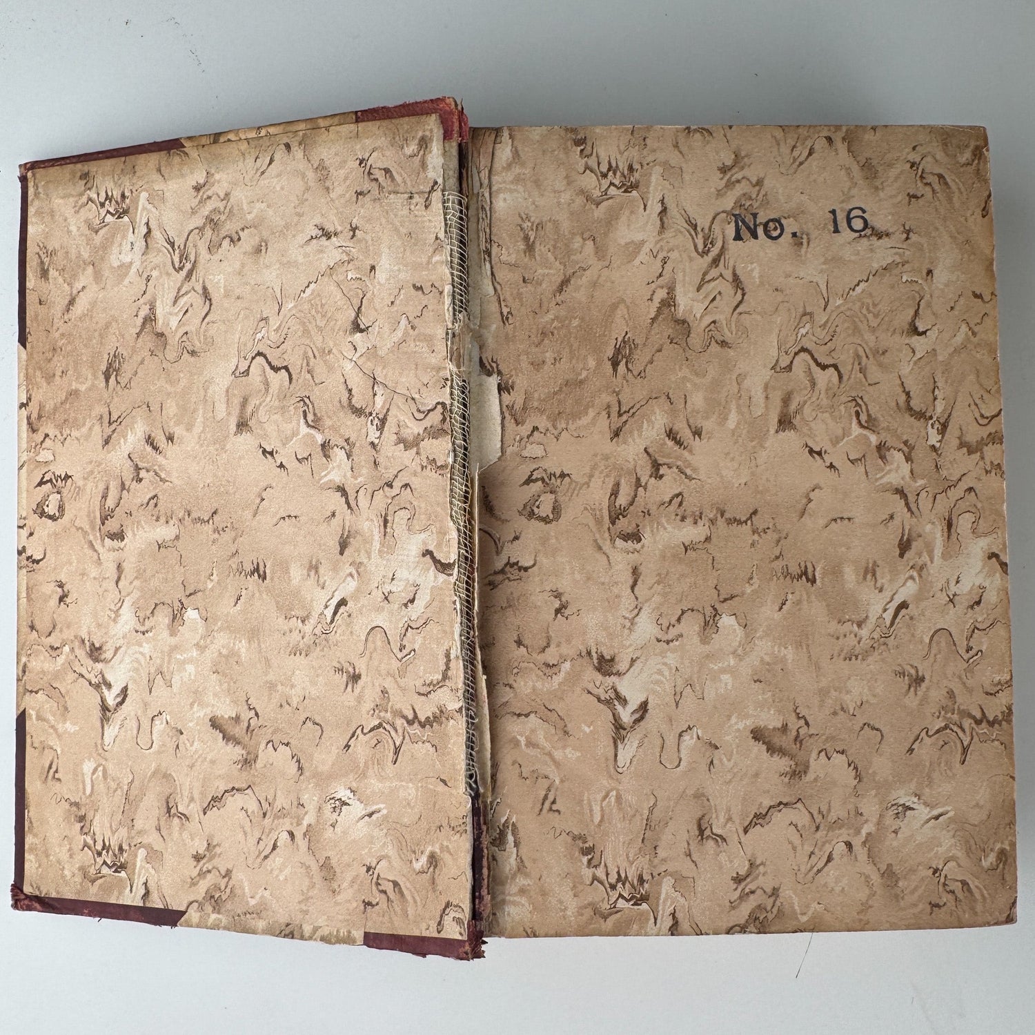 Plutarch’s Lives: Antique Half - Leather Volume, John Dryden - Pretty Old Books