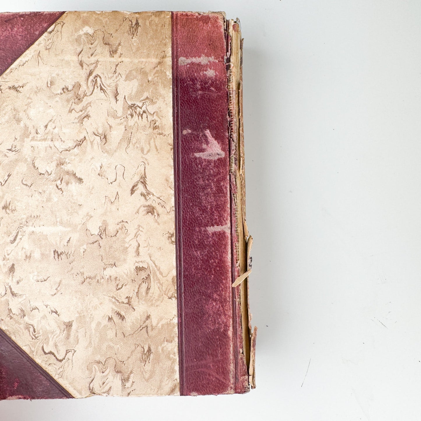 Plutarch’s Lives: Antique Half - Leather Volume, John Dryden - Pretty Old Books