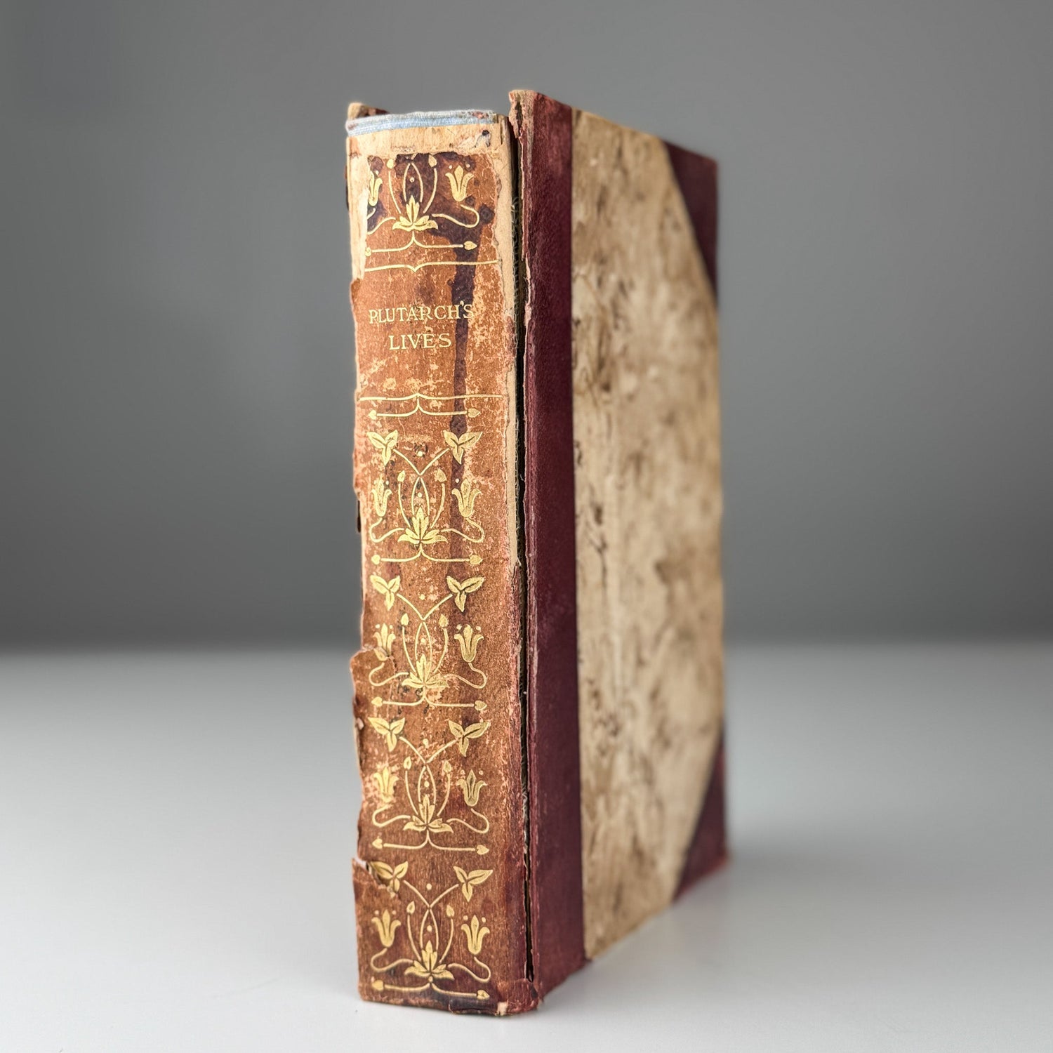 Plutarch’s Lives: Antique Half - Leather Volume, John Dryden - Pretty Old Books