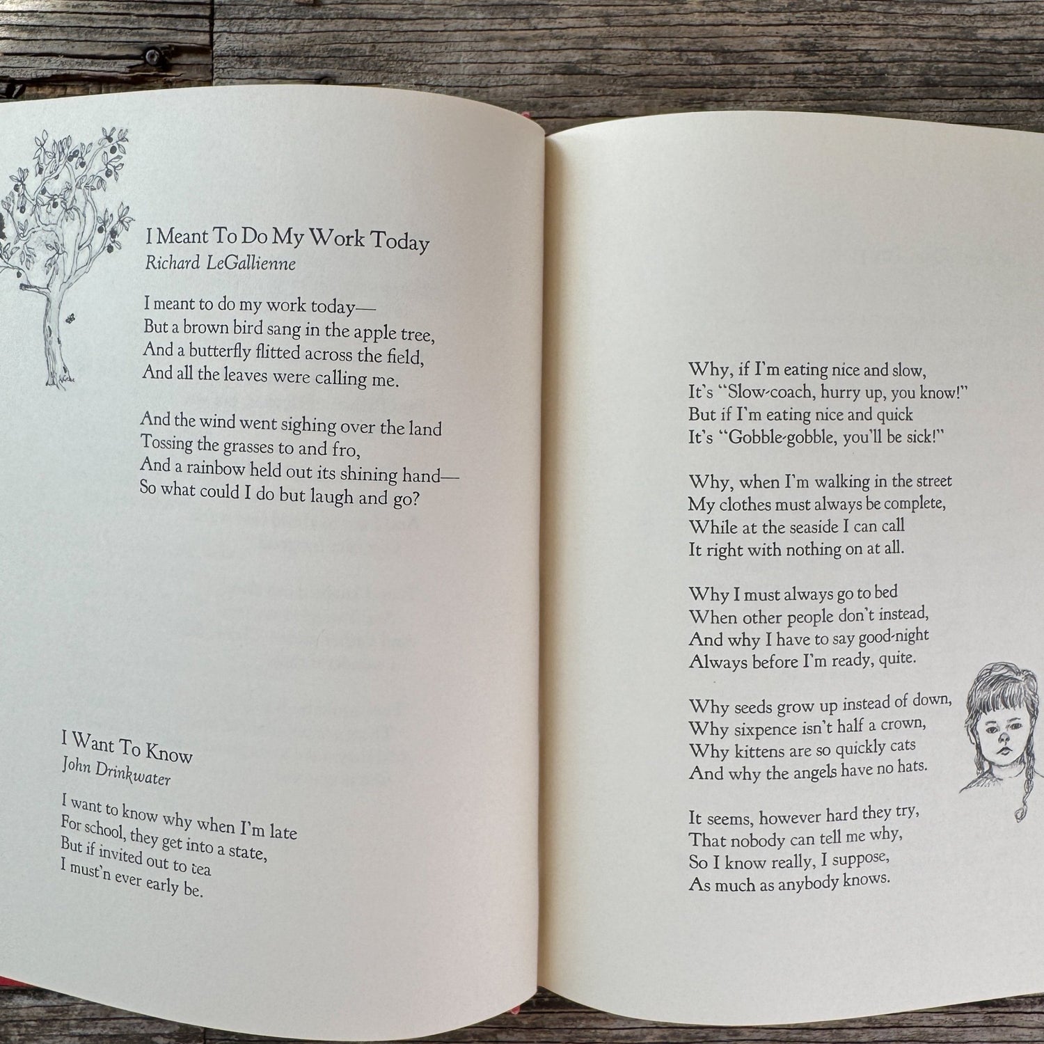 Poems of Childhood, Illustrated by Joan Berg Victor, 1969 - Pretty Old Books