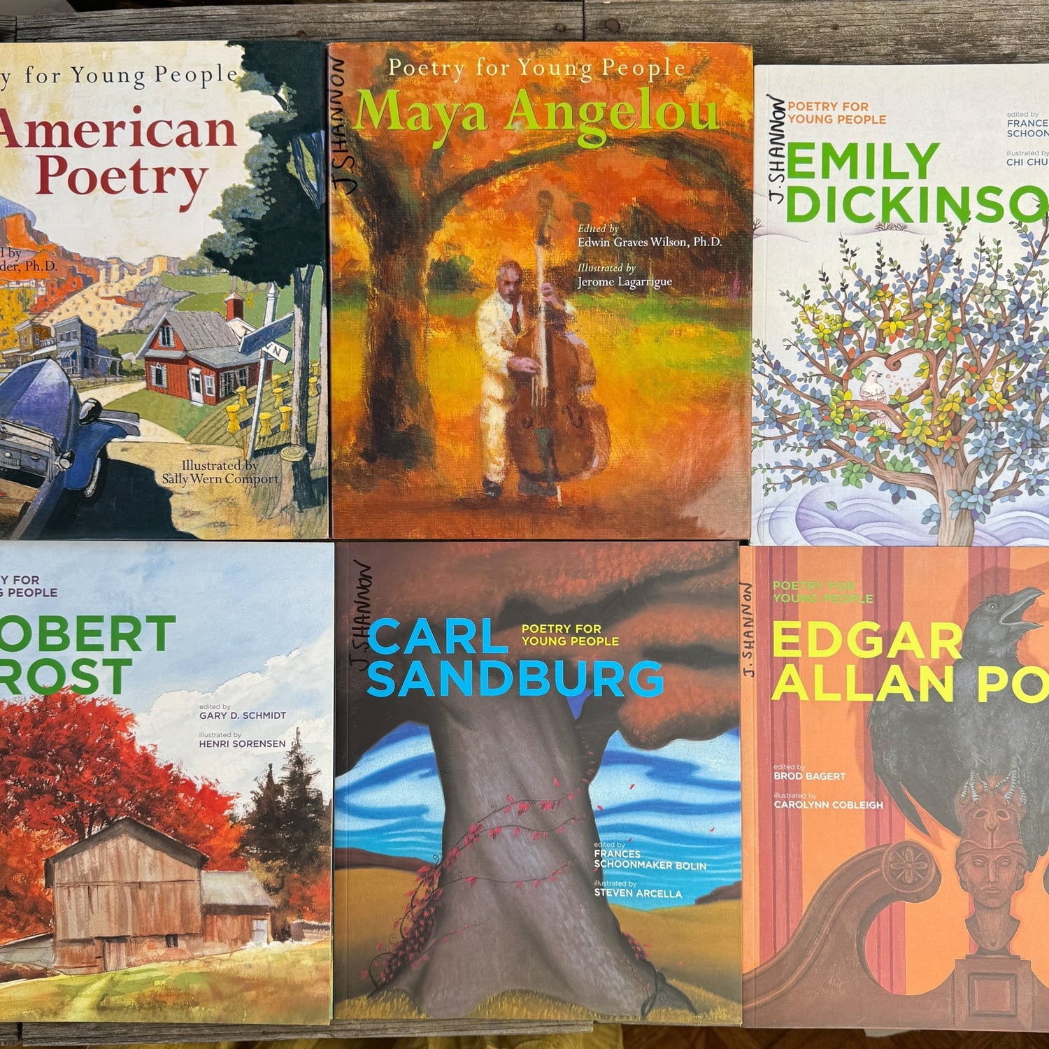 Poetry For Young People Book Bundle - Pretty Old Books