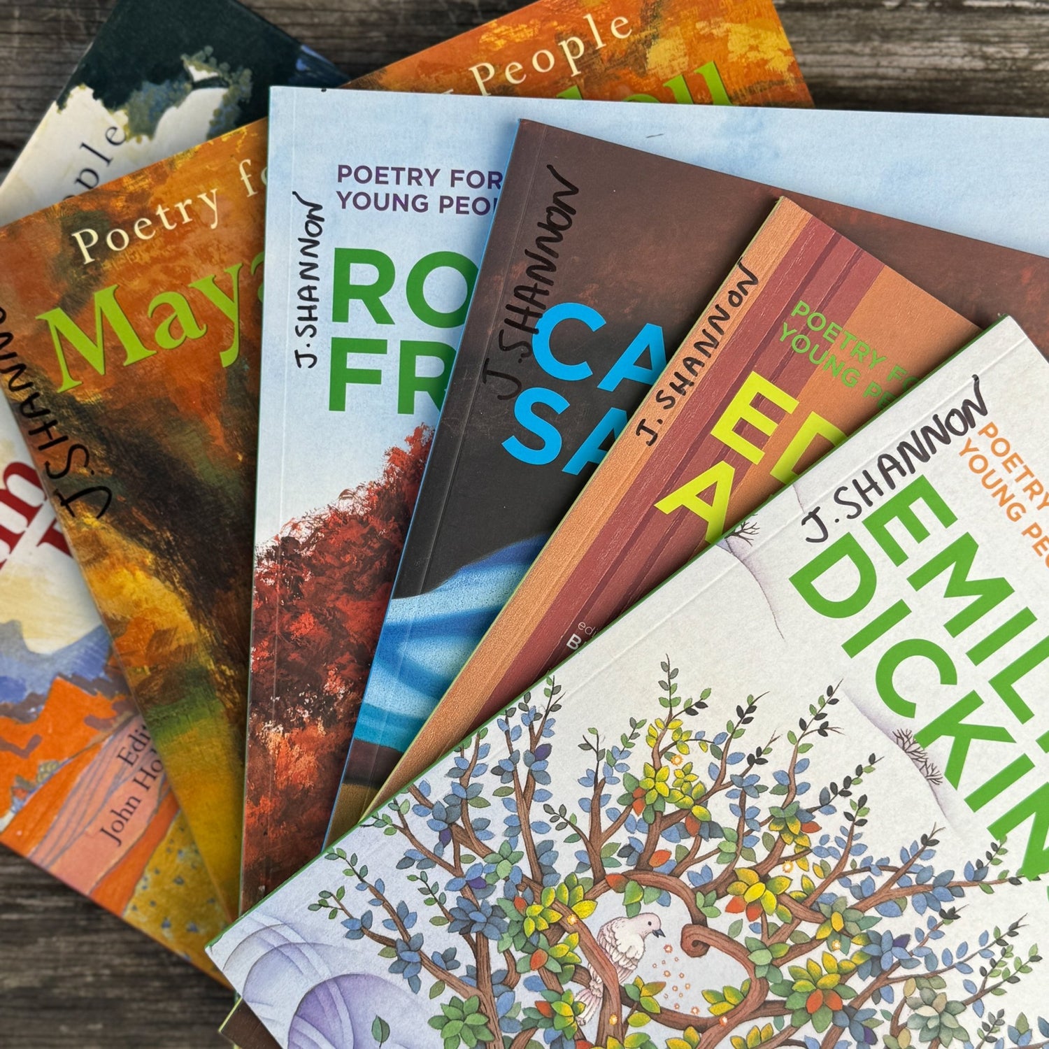 Poetry For Young People Book Bundle - Pretty Old Books