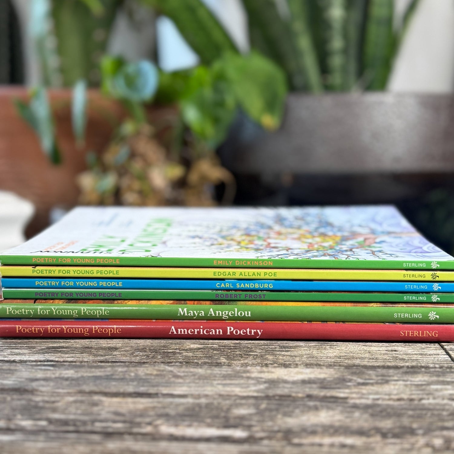 Poetry For Young People Book Bundle - Pretty Old Books