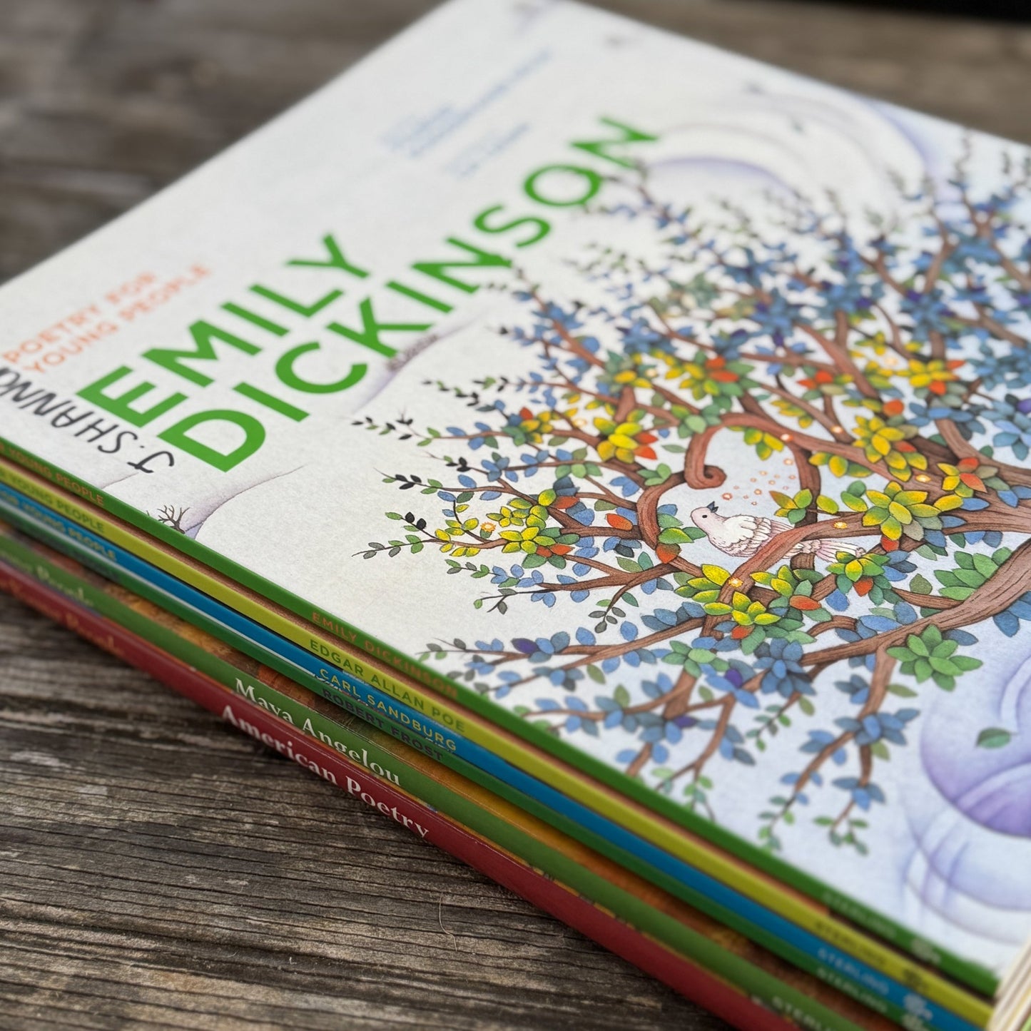 Poetry For Young People Book Bundle - Pretty Old Books